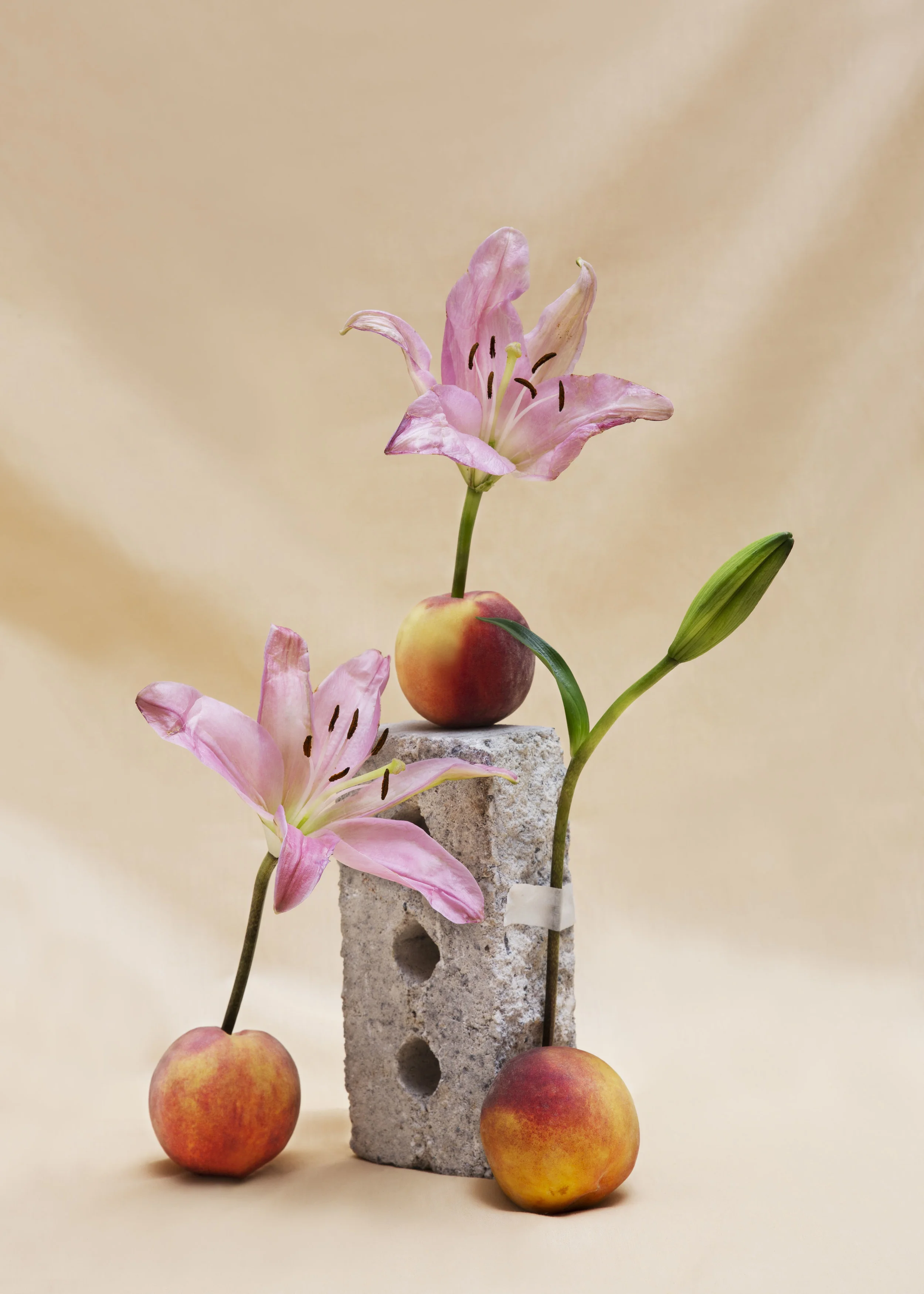Blooming_Stones3.jpg