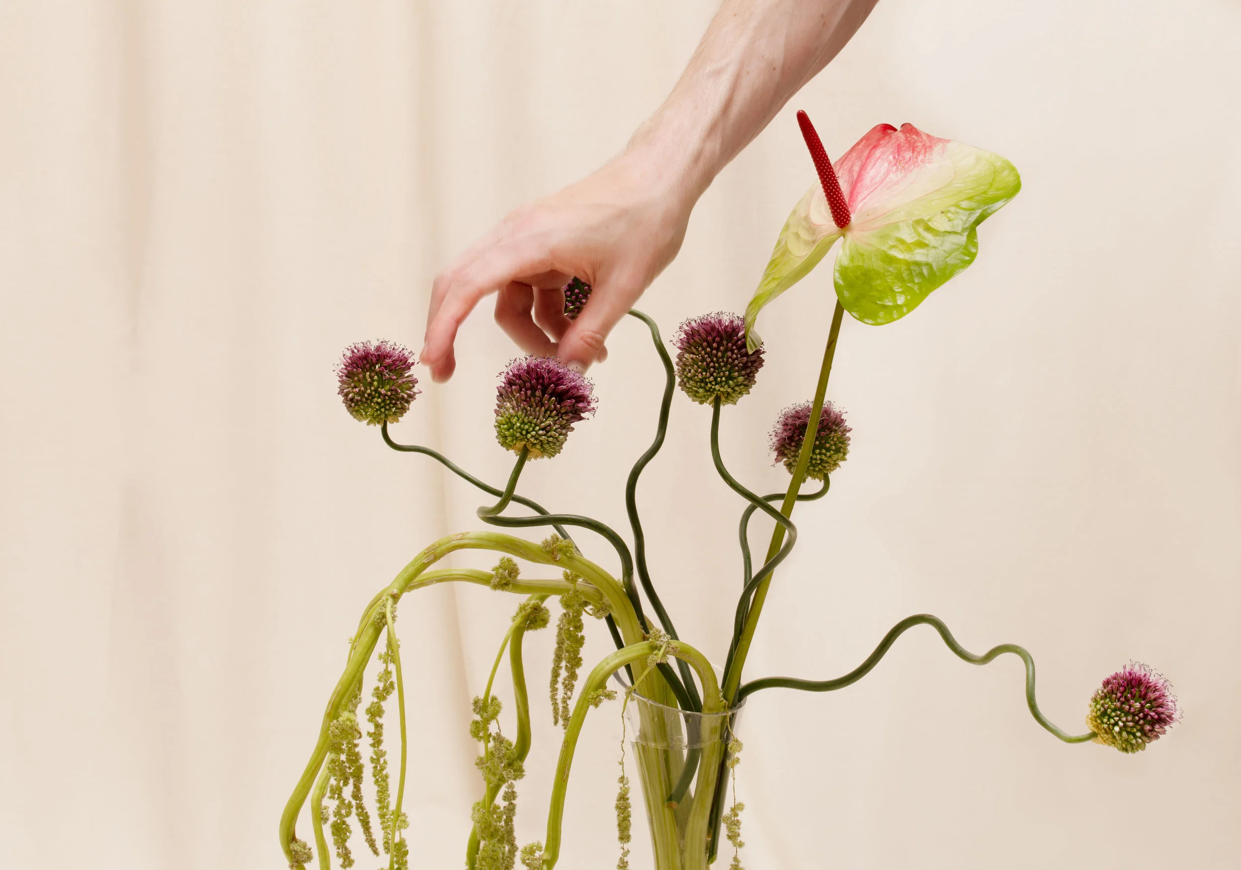 Flowers&Fruit_APril2019-7web.jpg