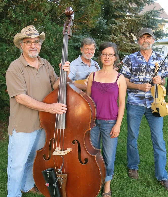 Cheryl Niemo and the Down Home Boys