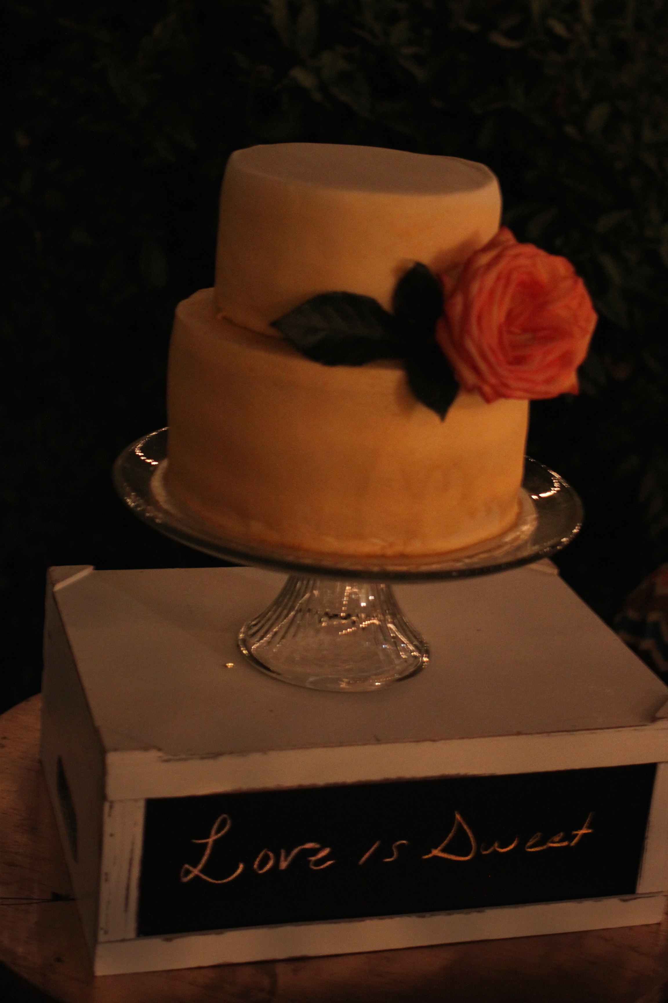 Northern-california-wedding-photographers