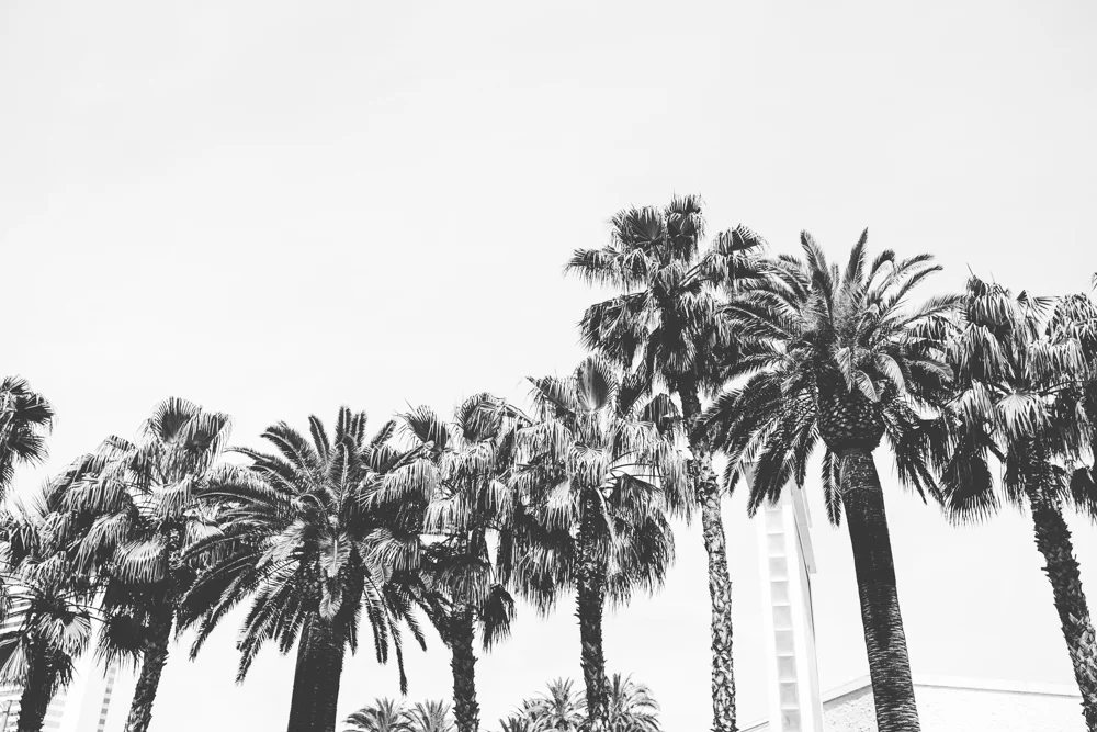 Northern-california-wedding-photographers