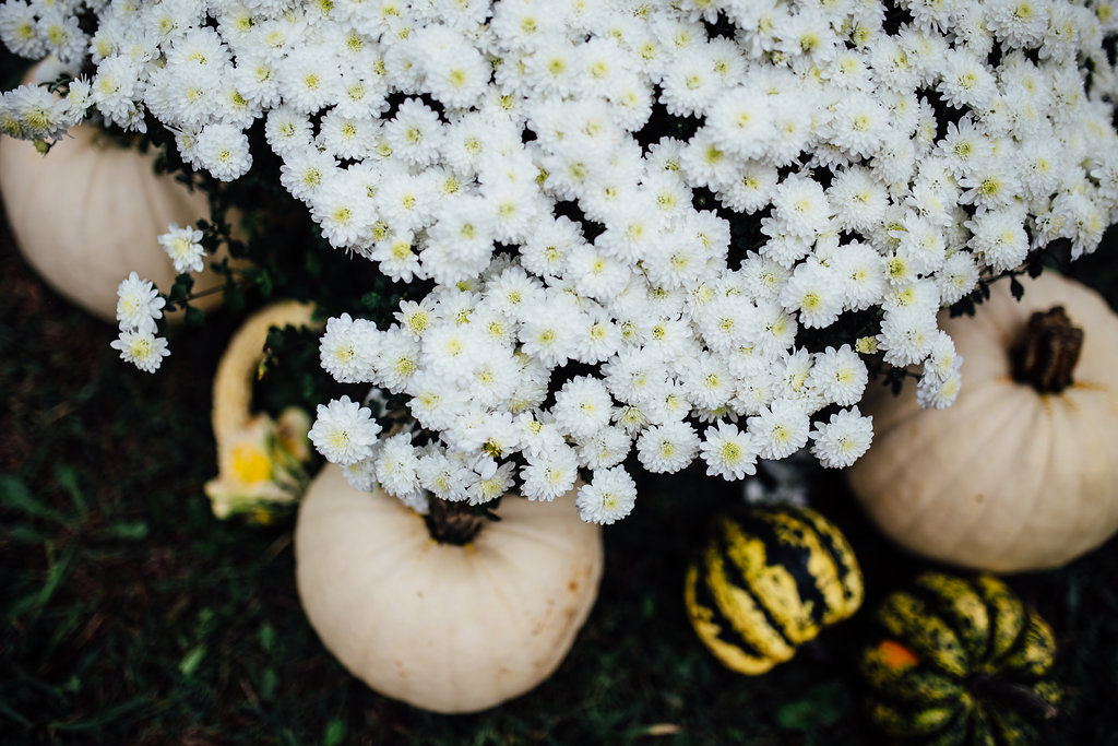 Greensboro Wedding Photographers