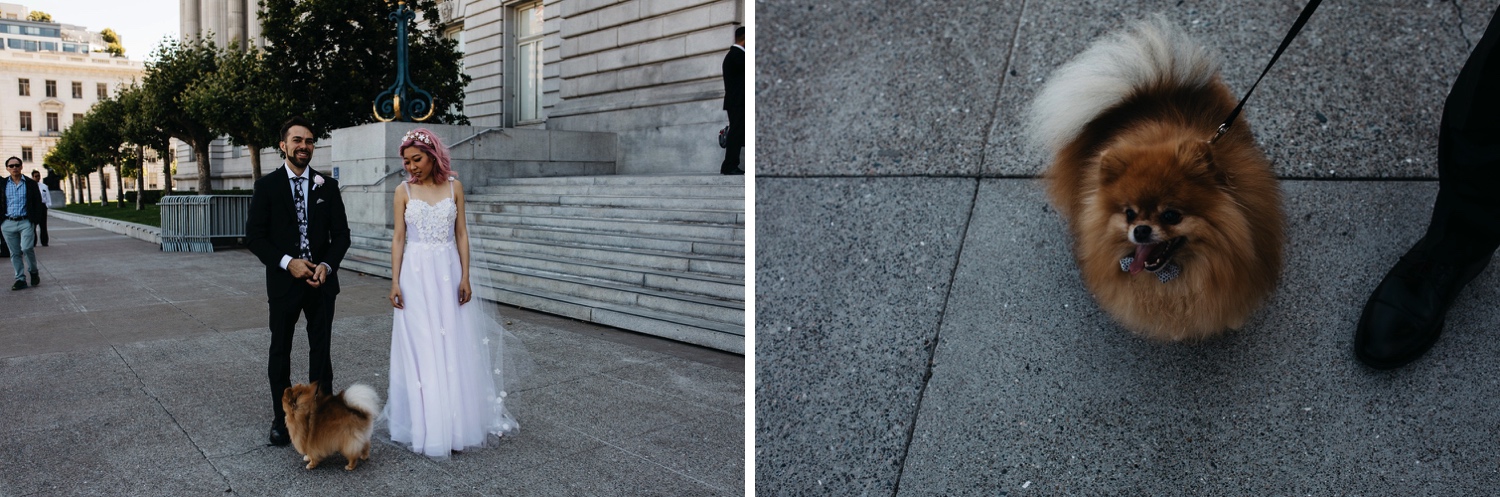 San Fransisco City Hall Elopement Photographer, SF City Hall, SF City Hall Elopement, San Fransisco Elopement Photographer, Elopement Photographer in CA, California Elopement Photographer
