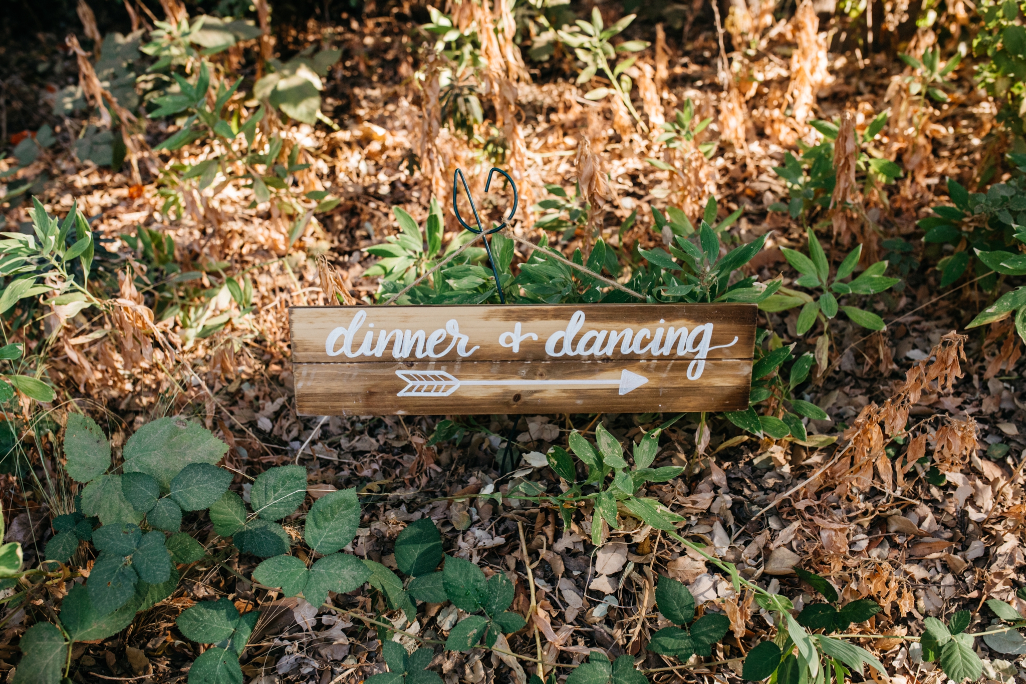 Campovida wedding, Campovida wedding photographer, Sonoma county wedding photographer, San Francisco wedding photographer, Bay Area wedding photographer, northenr california wedding photographer