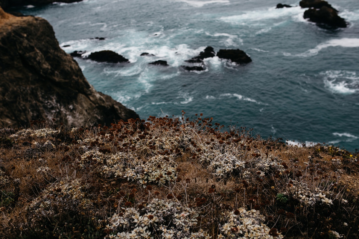Fort Bragg Wedding, Fort Bragg elopement, Northern California wedding photographer, Bay Area wedding photographer, Bay Area elopement photographer, sf wedding photographer, California elopement