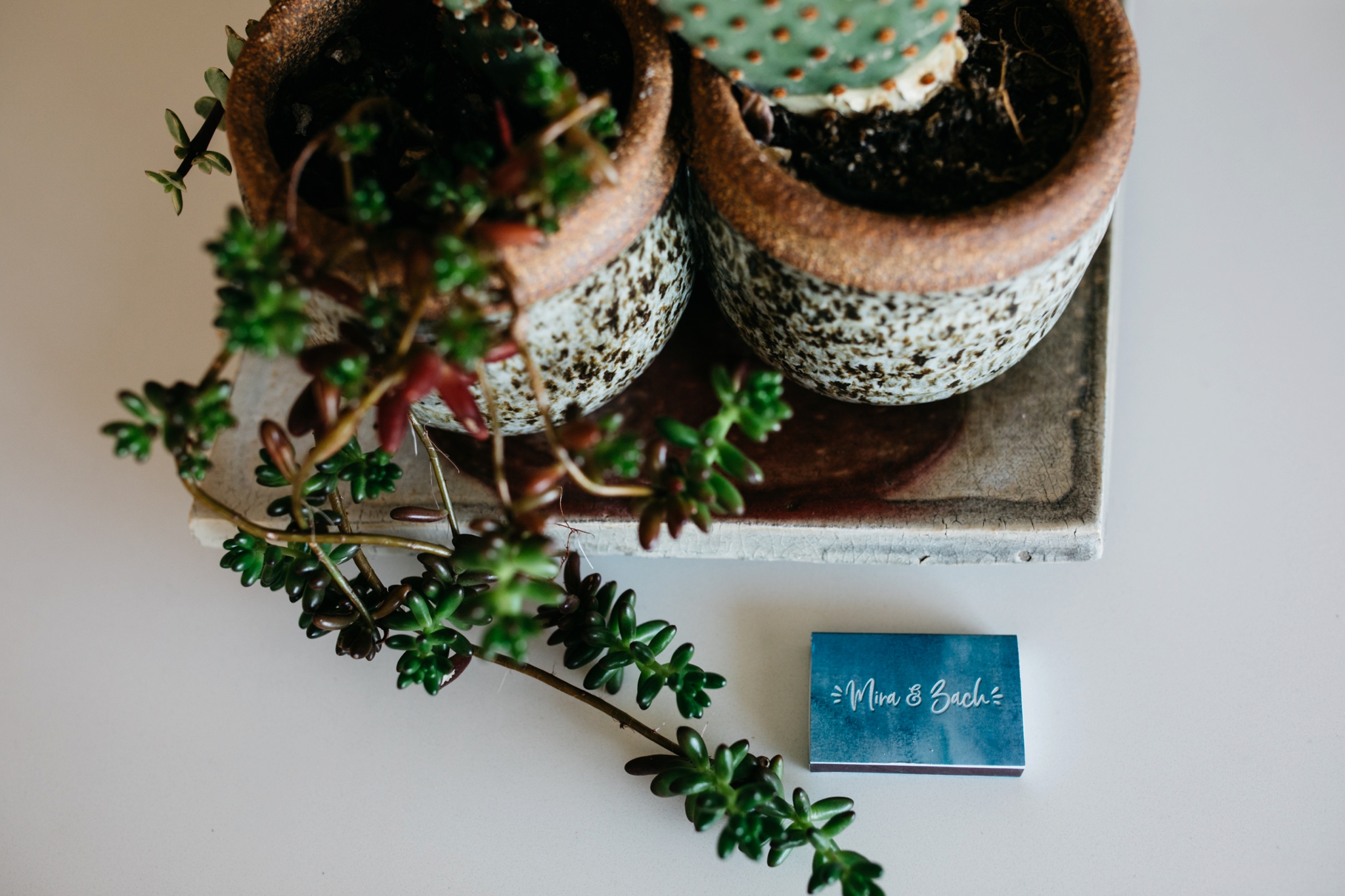 Joshua Tree wedding photographer, Palm Springs wedding photographer, california wedding photographer, Southern California wedding photographer, Los Angeles wedding photographer, California elopement