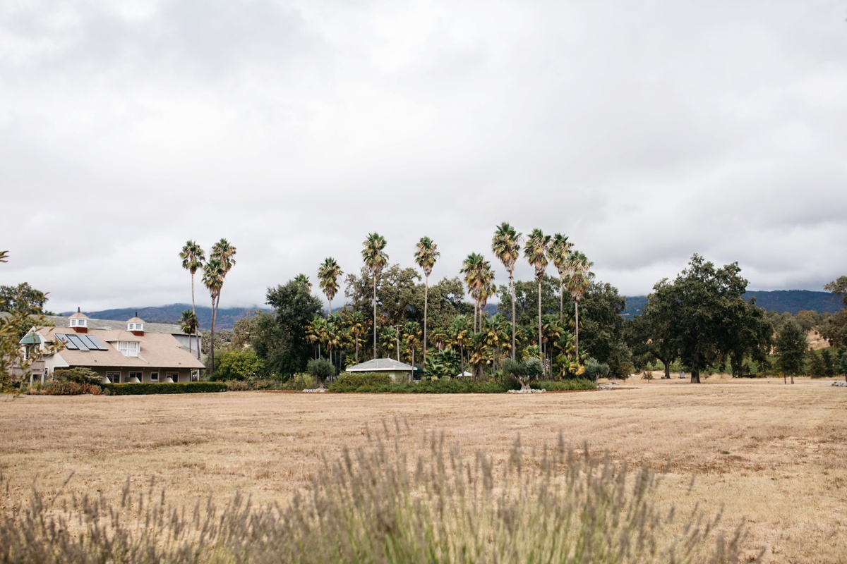 Healdsburg wedding photographer, Campovida wedding photographer, Northern California wedding photographer, SF Bay Area wedding photographer, Napa wedding photographer, Destination wedding photographer