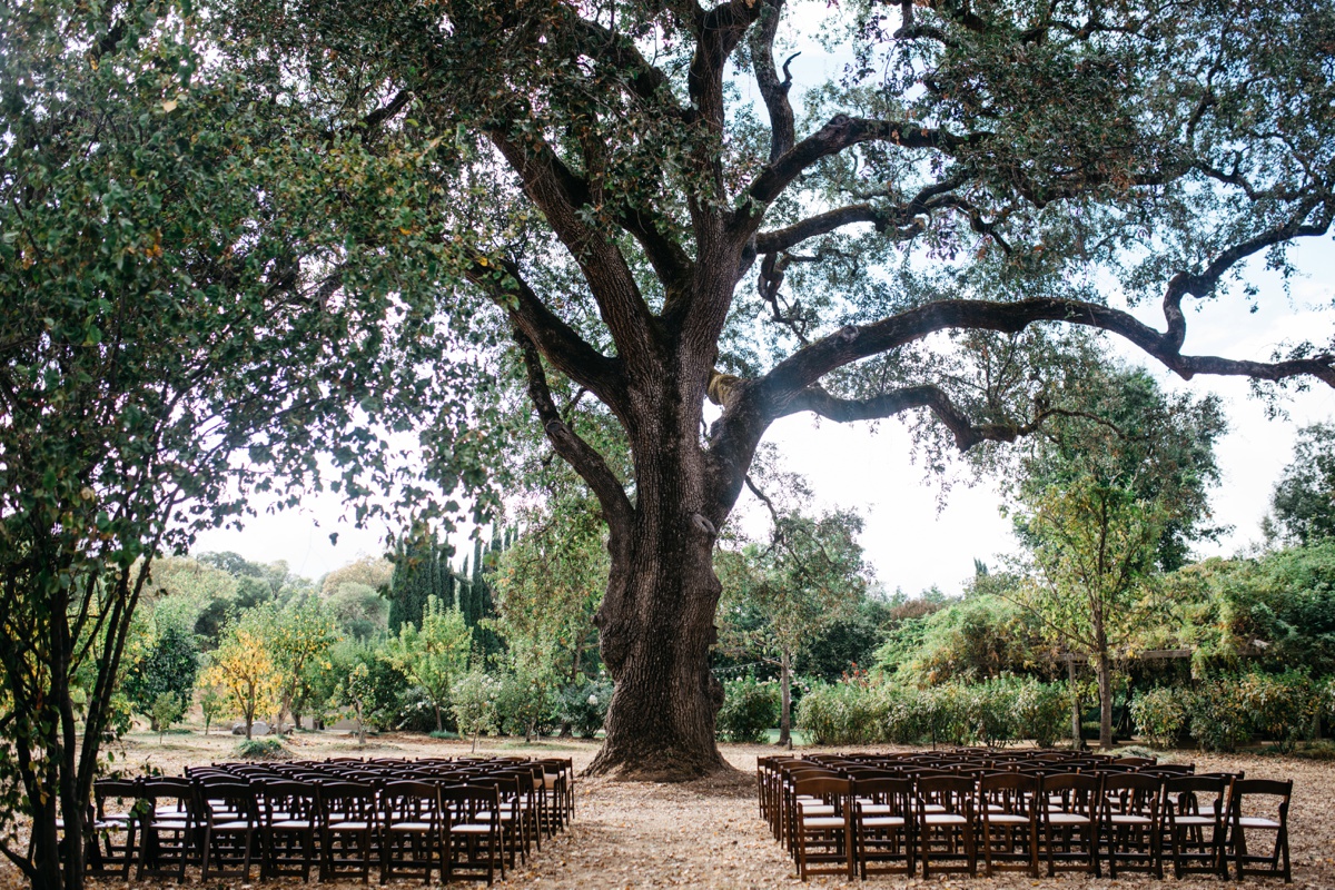 Healdsburg wedding photographer, Campovida wedding photographer, Northern California wedding photographer, SF Bay Area wedding photographer, Napa wedding photographer, Destination wedding photographer