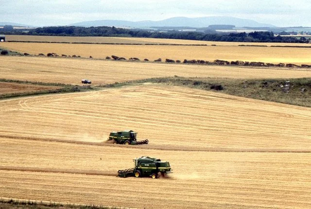 Animal Product Consumption Leads to Land Loss