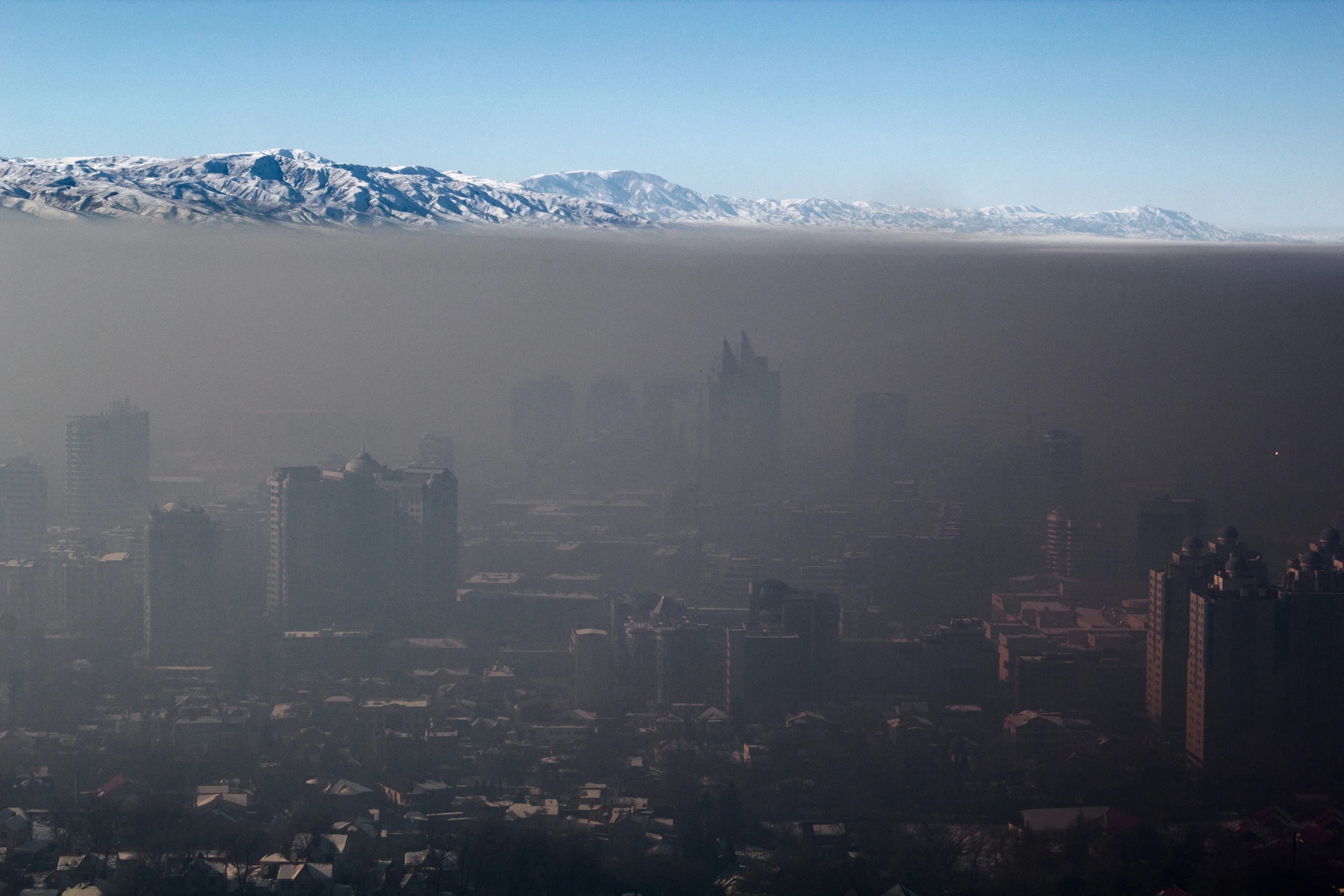 Reduce Your Meat Consumption with N-Print