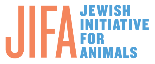 JIFA_Logo_FINAL_CLR-02.png