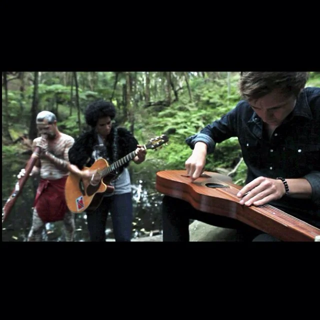 SURROUNDED BY TREES with Z-STAR