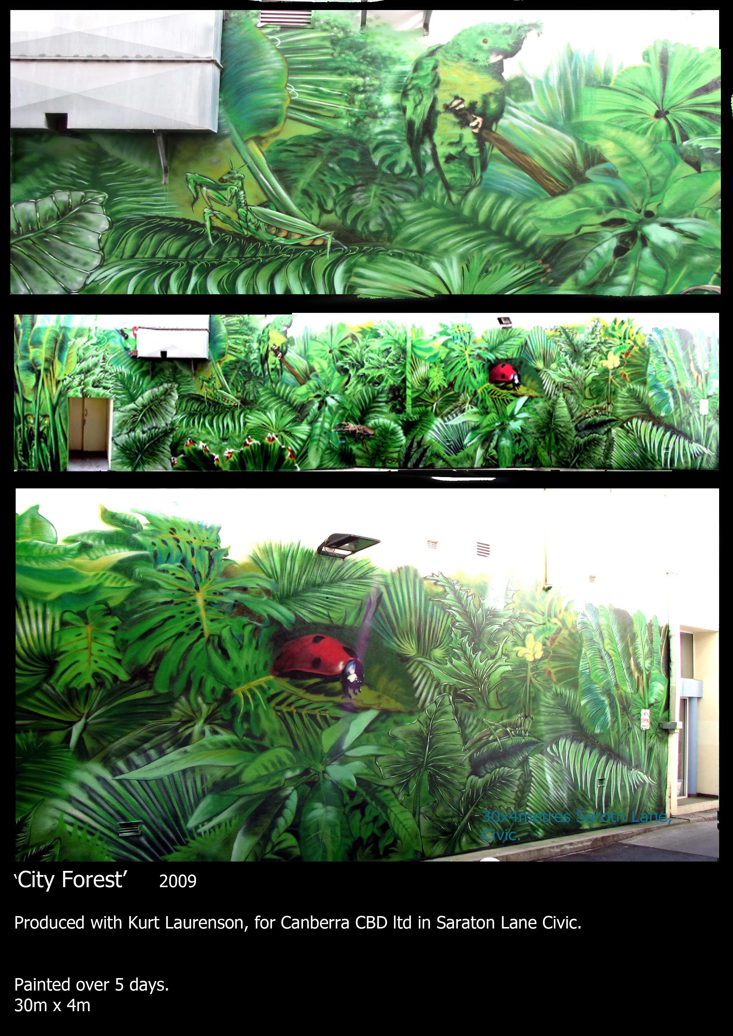 'byrd' Dan Maginnity