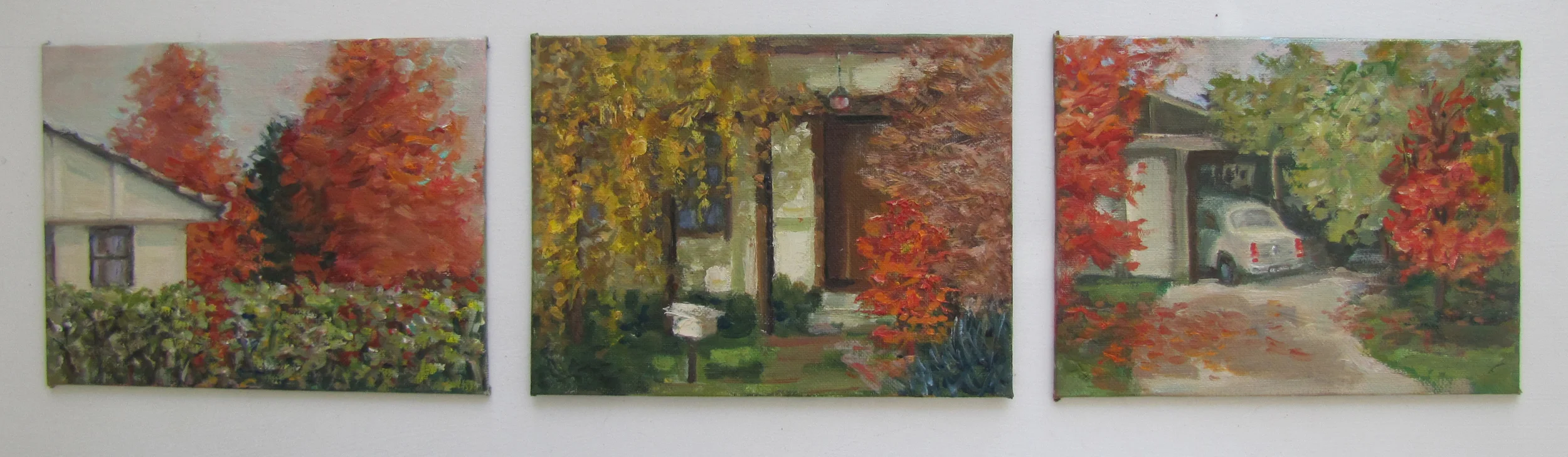 Autumn sun II, Canberra.  1985