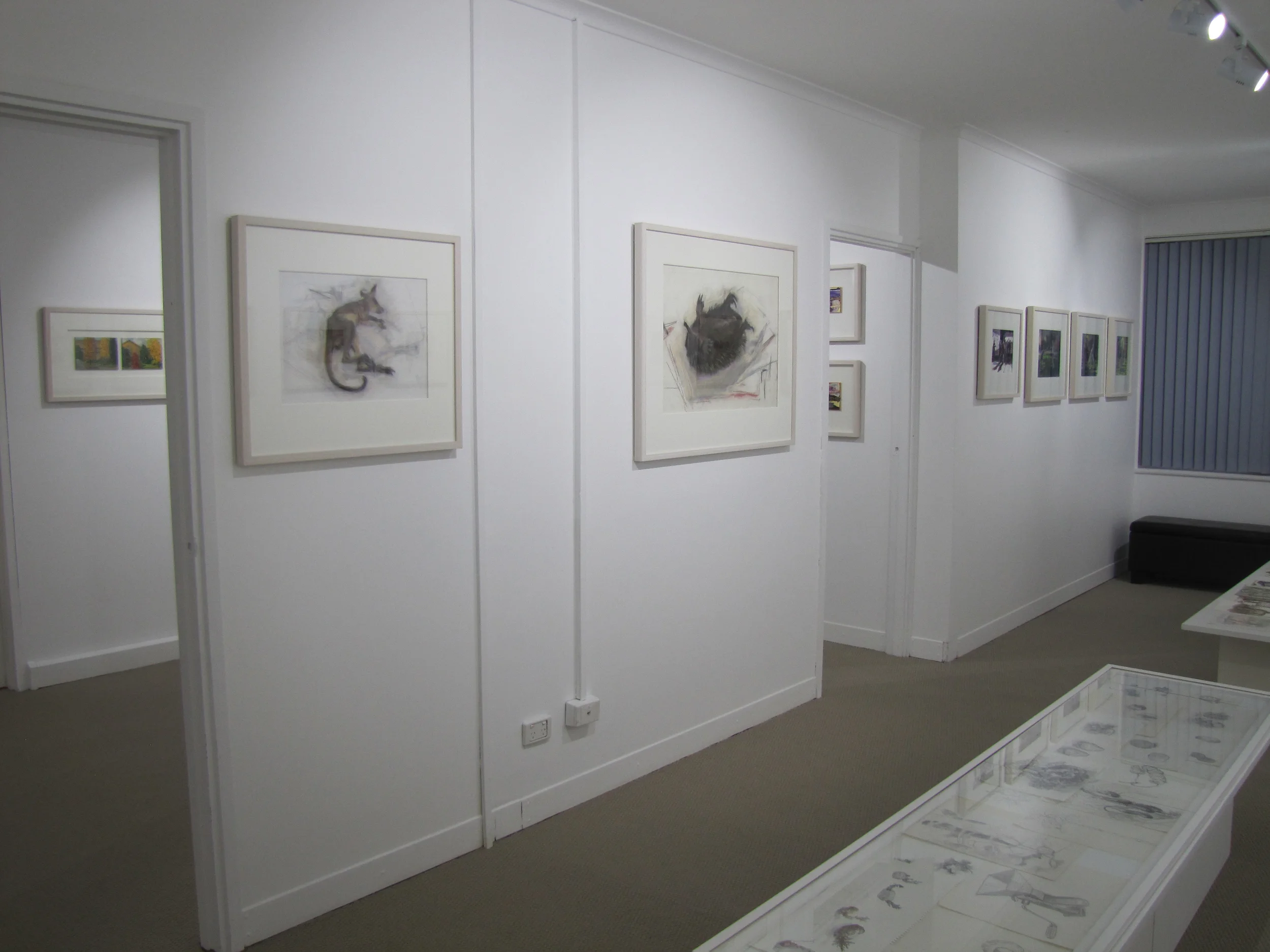 NSG  Janet Dawson exhibition 12.jpg