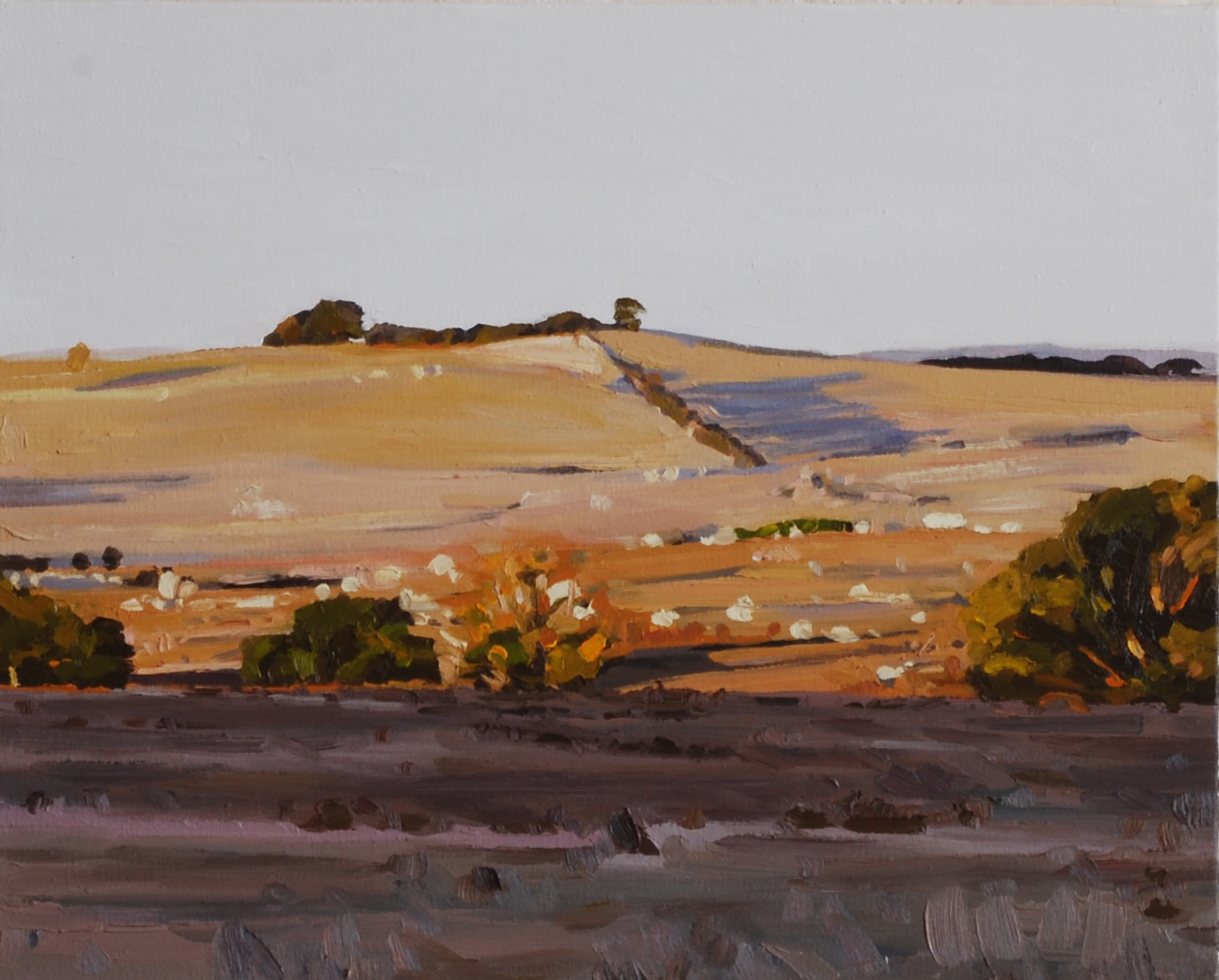 Kate Stevens | Scenes from an afternoon