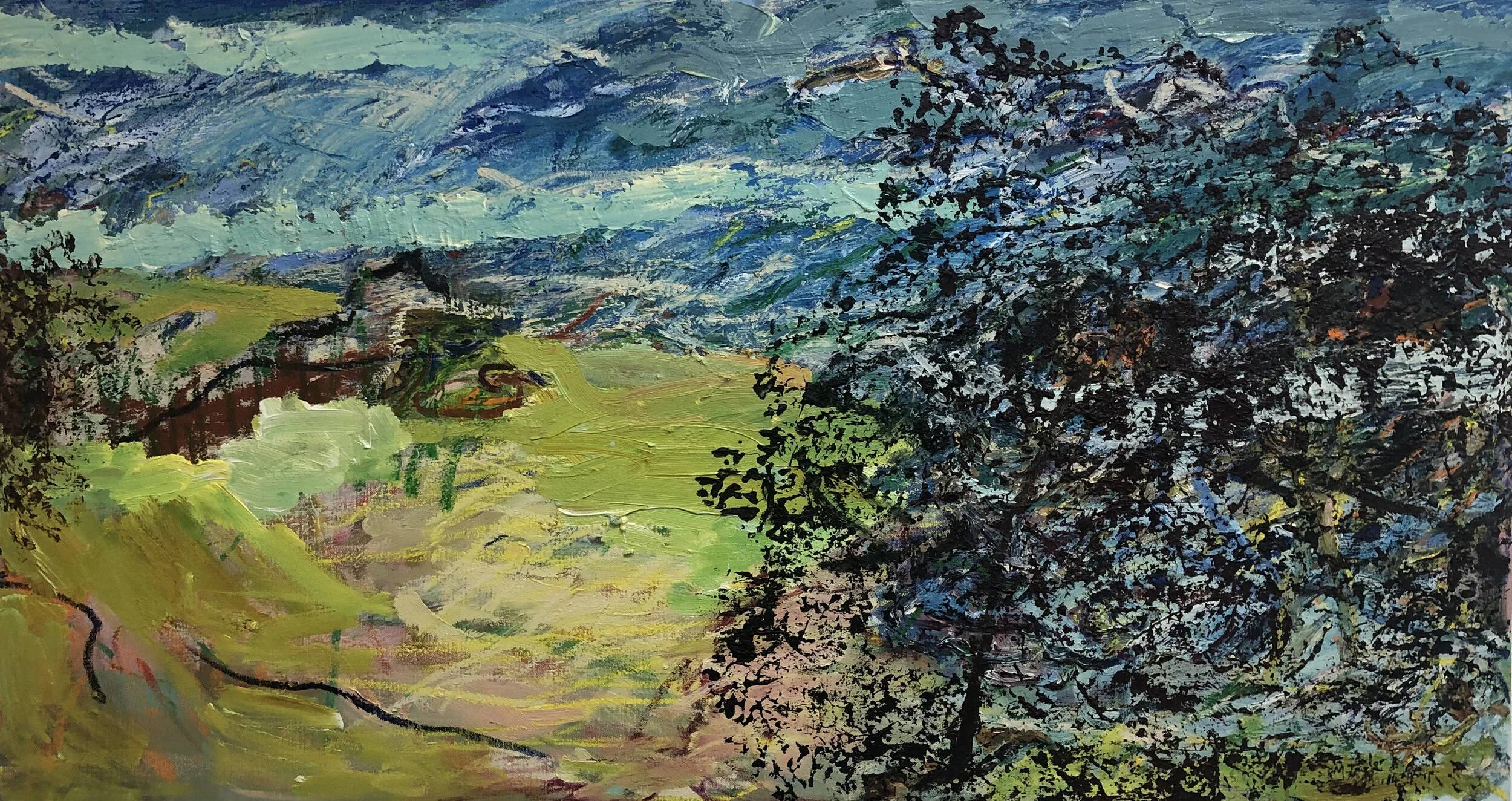 View from the sandhills. 14.9.11   oil and oil stick on linen. 90 x 168 cm. $8,000