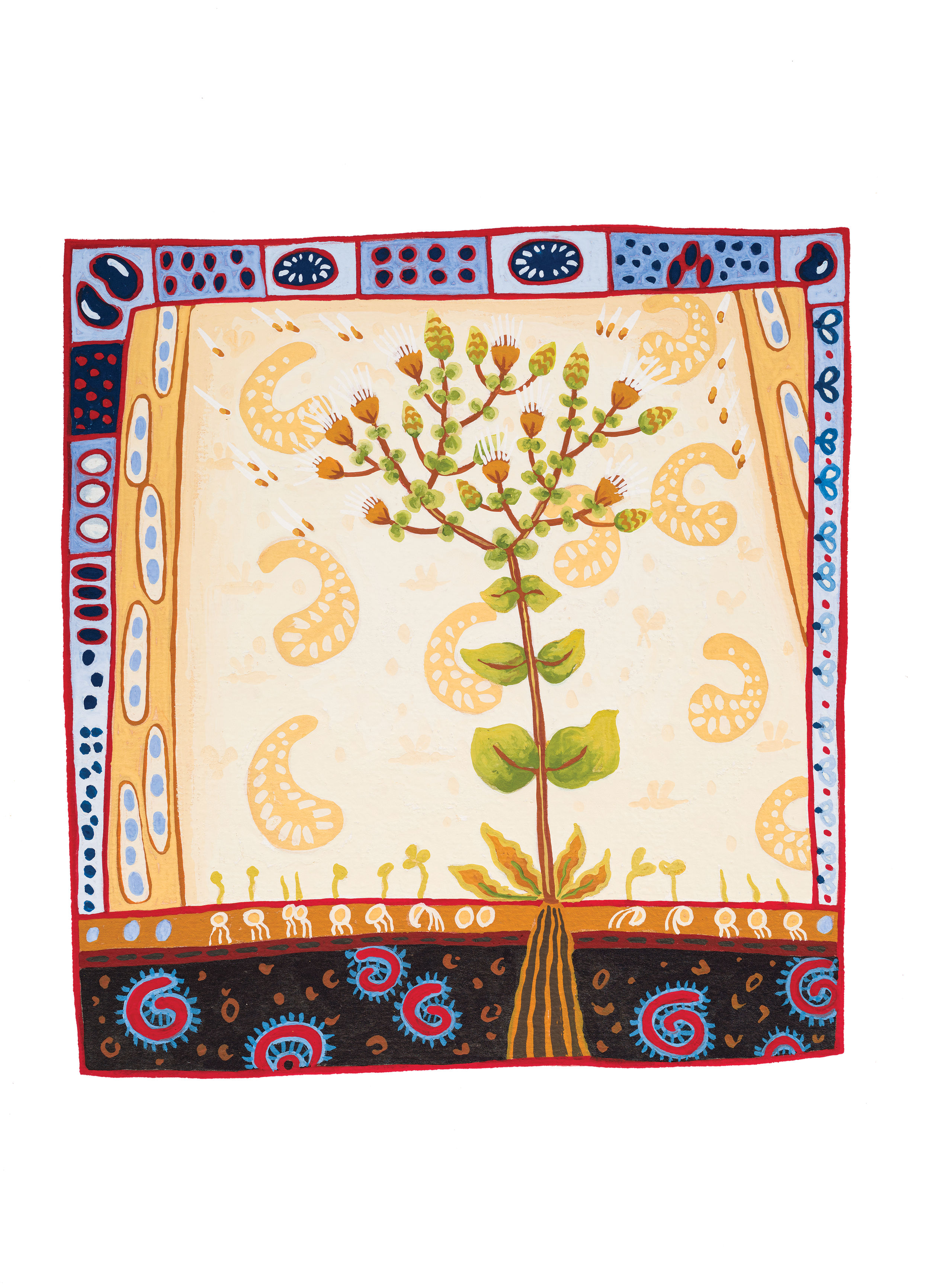 Seed harvest. 2025  19 x 17.5 cm