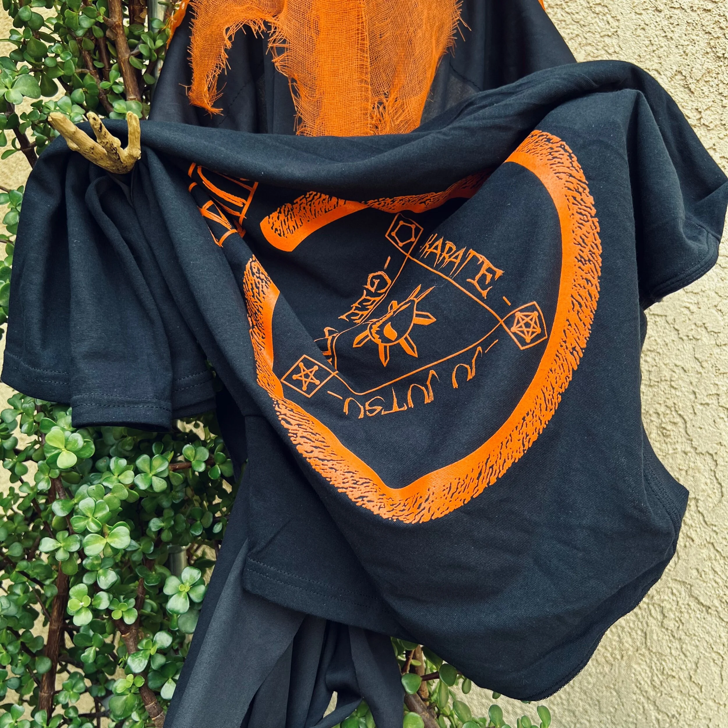 E68F3BB6-50EF-45D5-9D12-647CEC088AE4