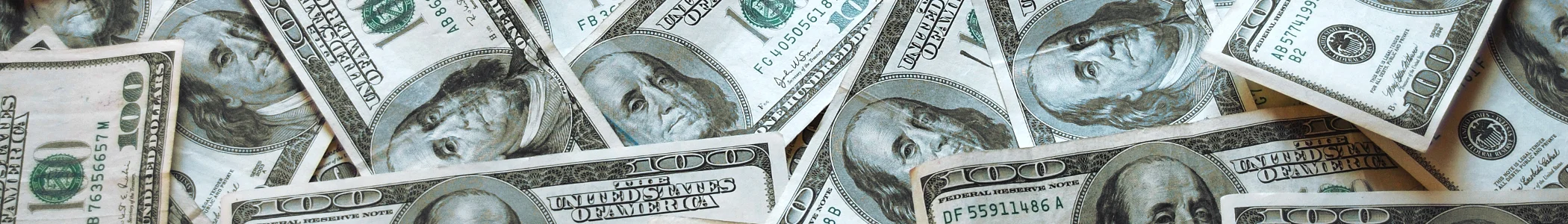 The Turtles and Their Royalties Are Happy Together