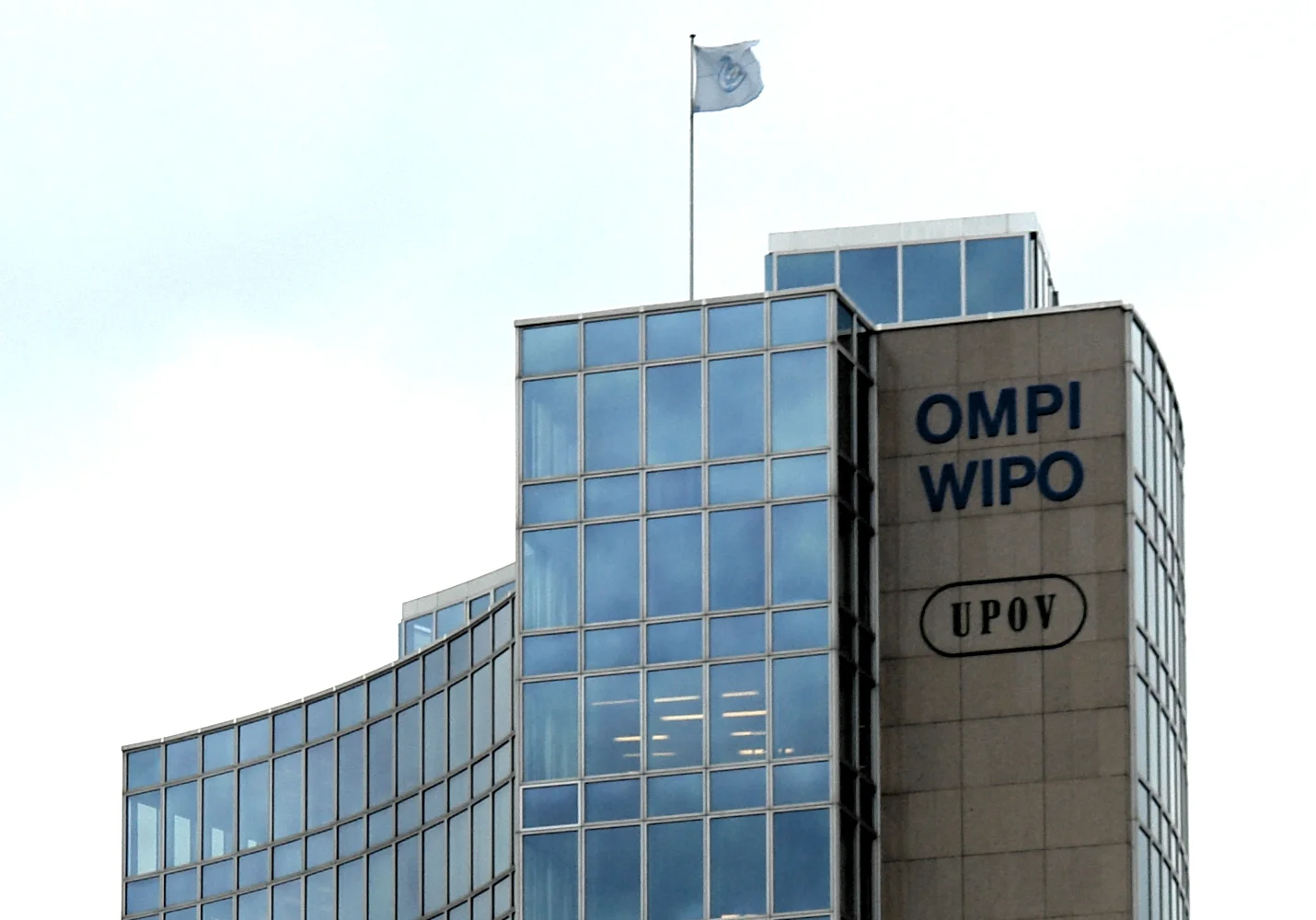 2015 Version of Nice Classification Goes into Effect