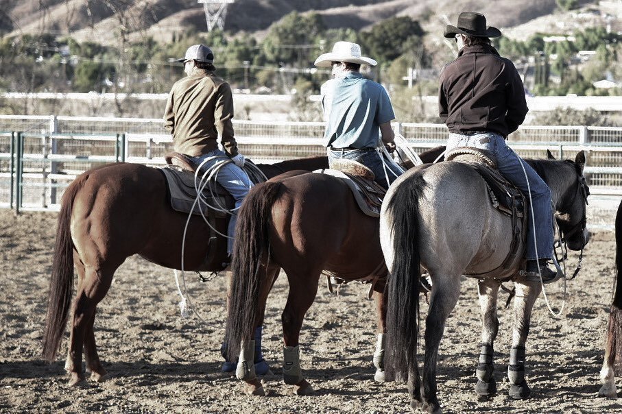 Happy new year, everyone! Snagged this shot yesterday and just had to share it! #happynewyear #cowboy #cowboys #western #roping #ropinghorse #rodeo #photography #horses #horse #equestrian #cowgirlup #vowgiel #ranchlife #ranchlifestyle #ranchlifestyle