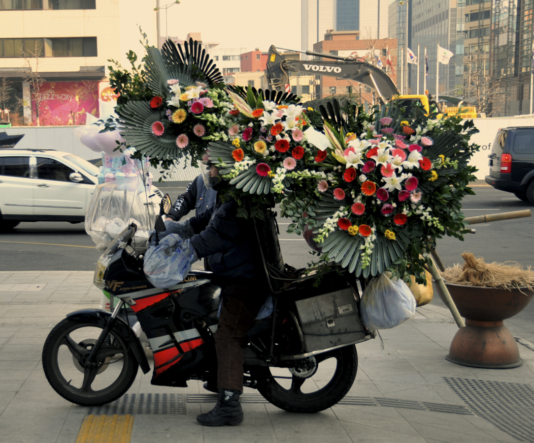 CIN_1805_©_nicfletcher.jpg