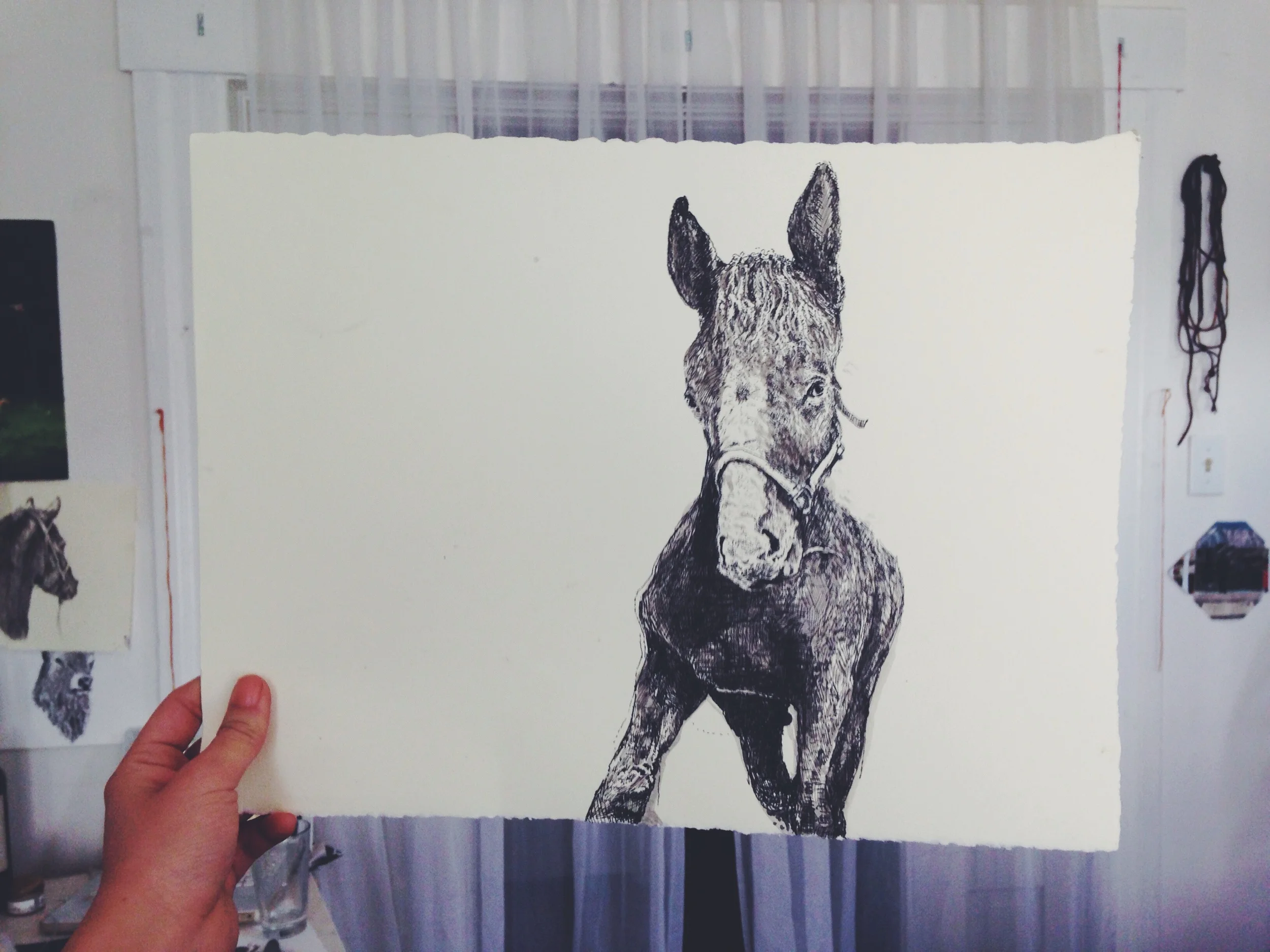 horse3.JPG