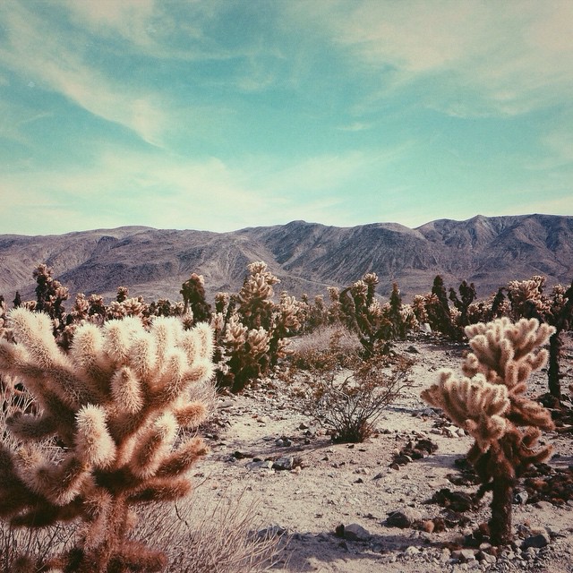 Where did all the cowboys go?
#vscocam #vsco #mextures