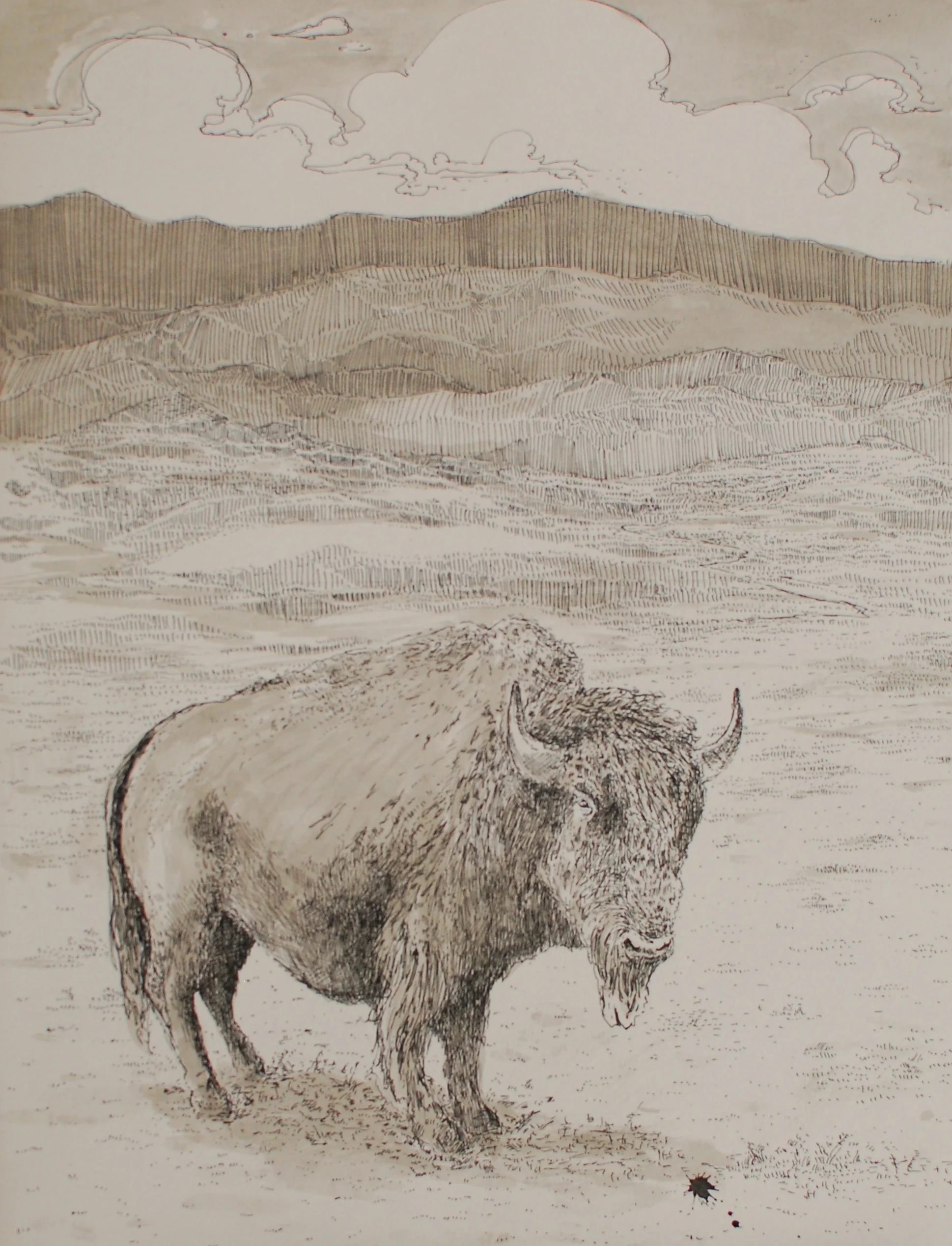 Bison.JPG