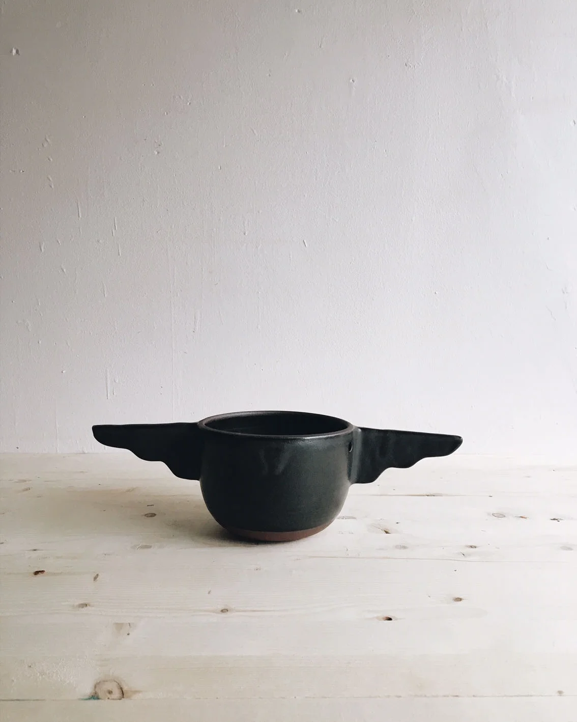 Black Bird Hanging Planter