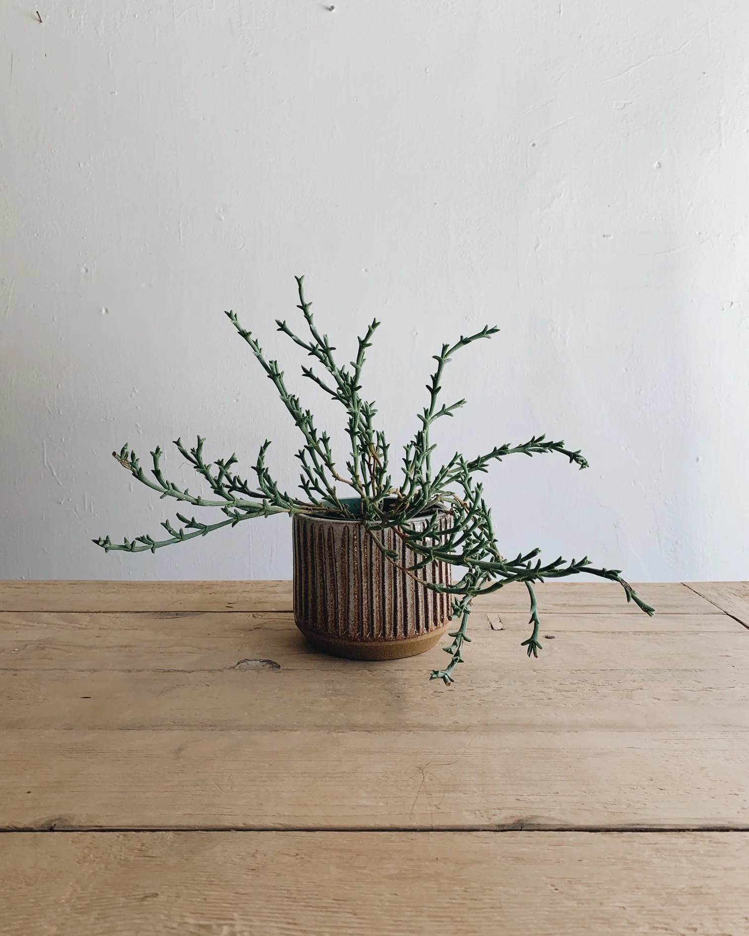 Planter - Carved Sedona