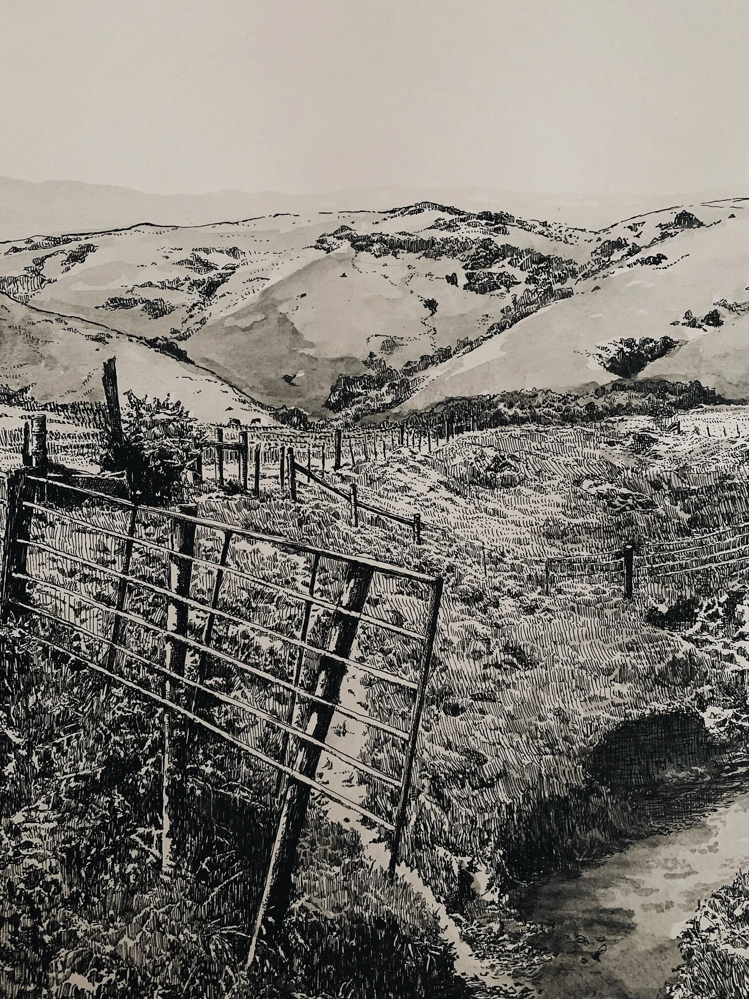 Petaluma.JPG