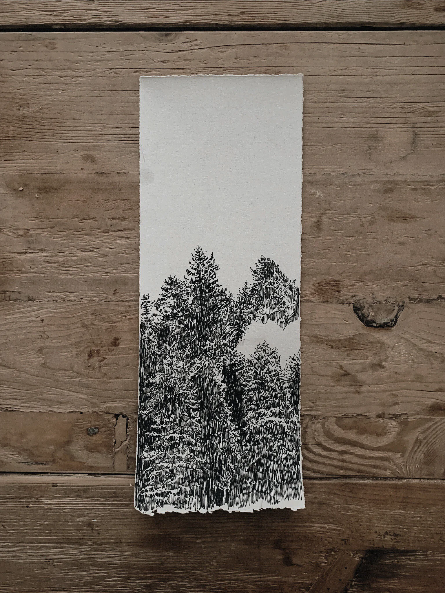 Drawing - Quarantine Day 8