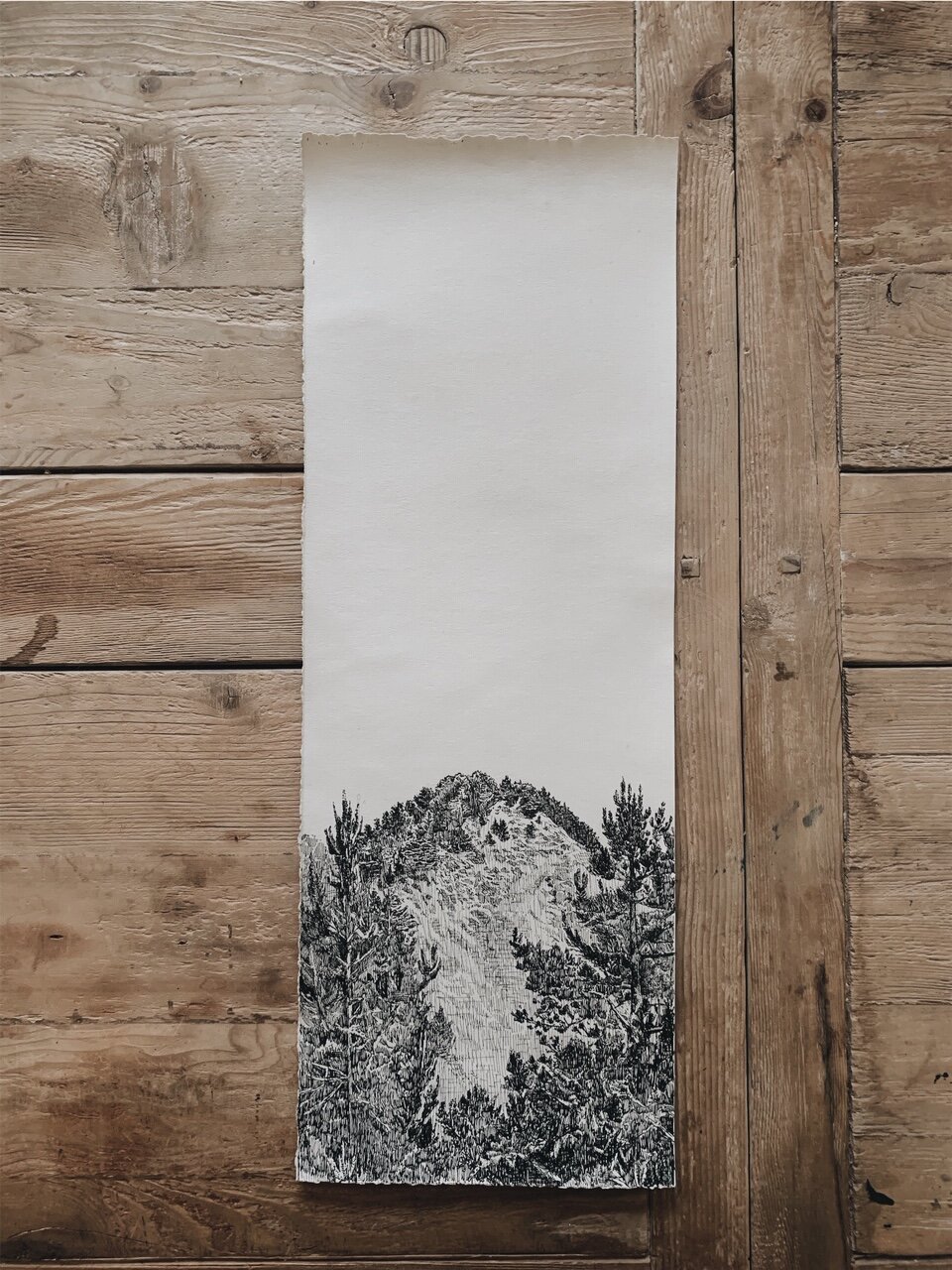 Original Drawing - Muir Beach Overlook