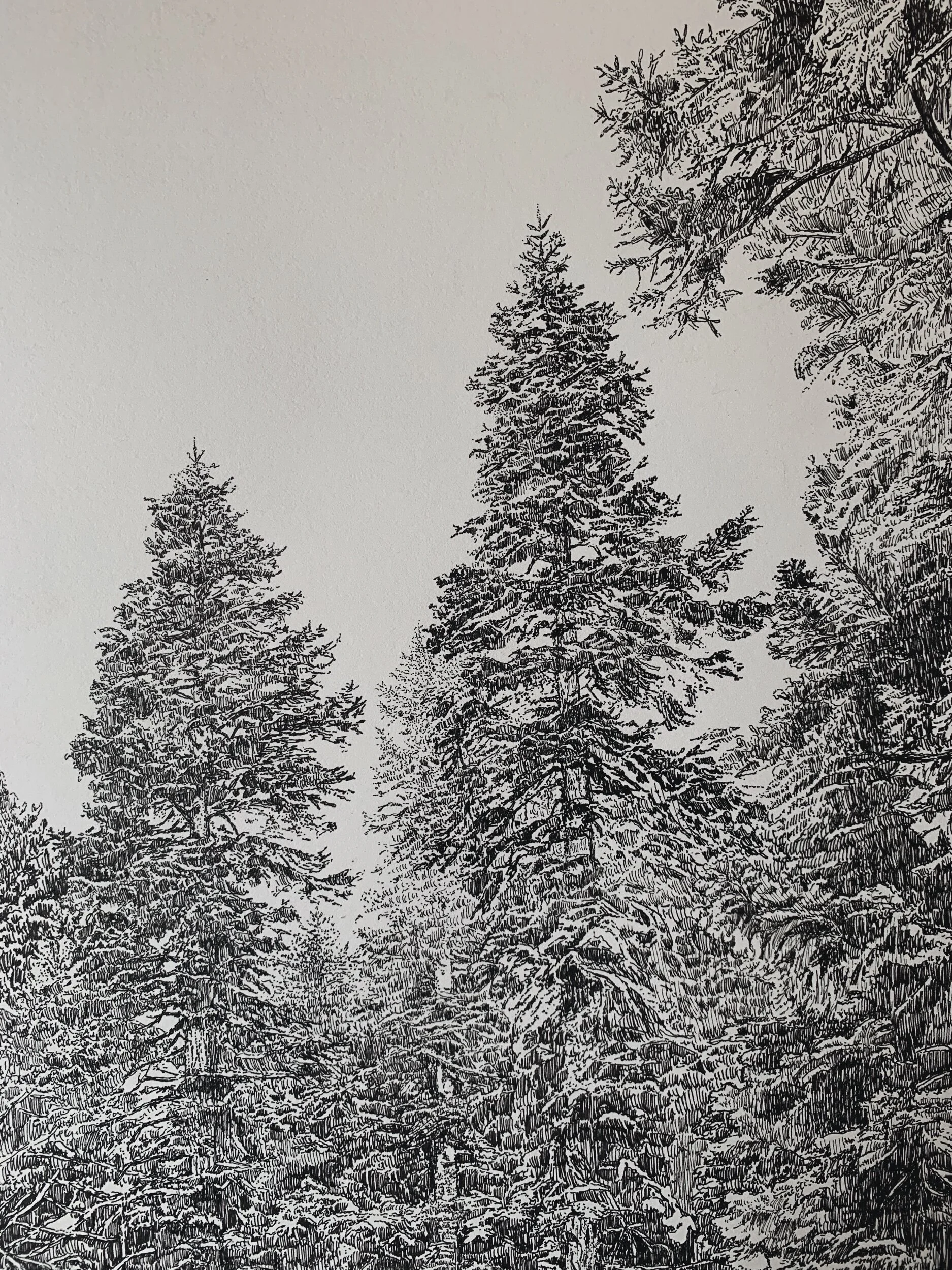 E0D8962E-EEAC-4274-BB50-9D9E904819B4