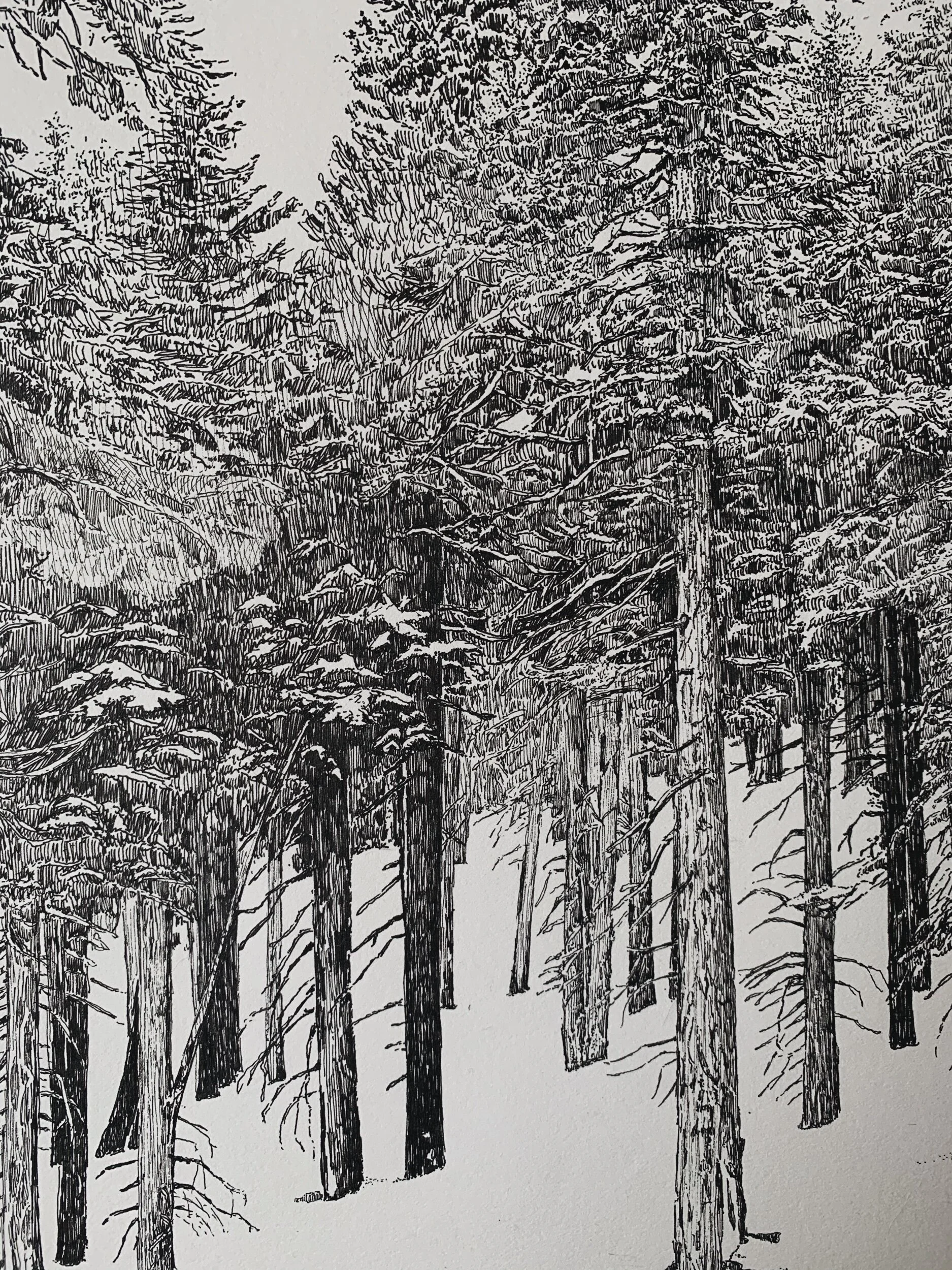 FAEC7BB0-4065-420D-A1FC-5EC5D8ADD98F