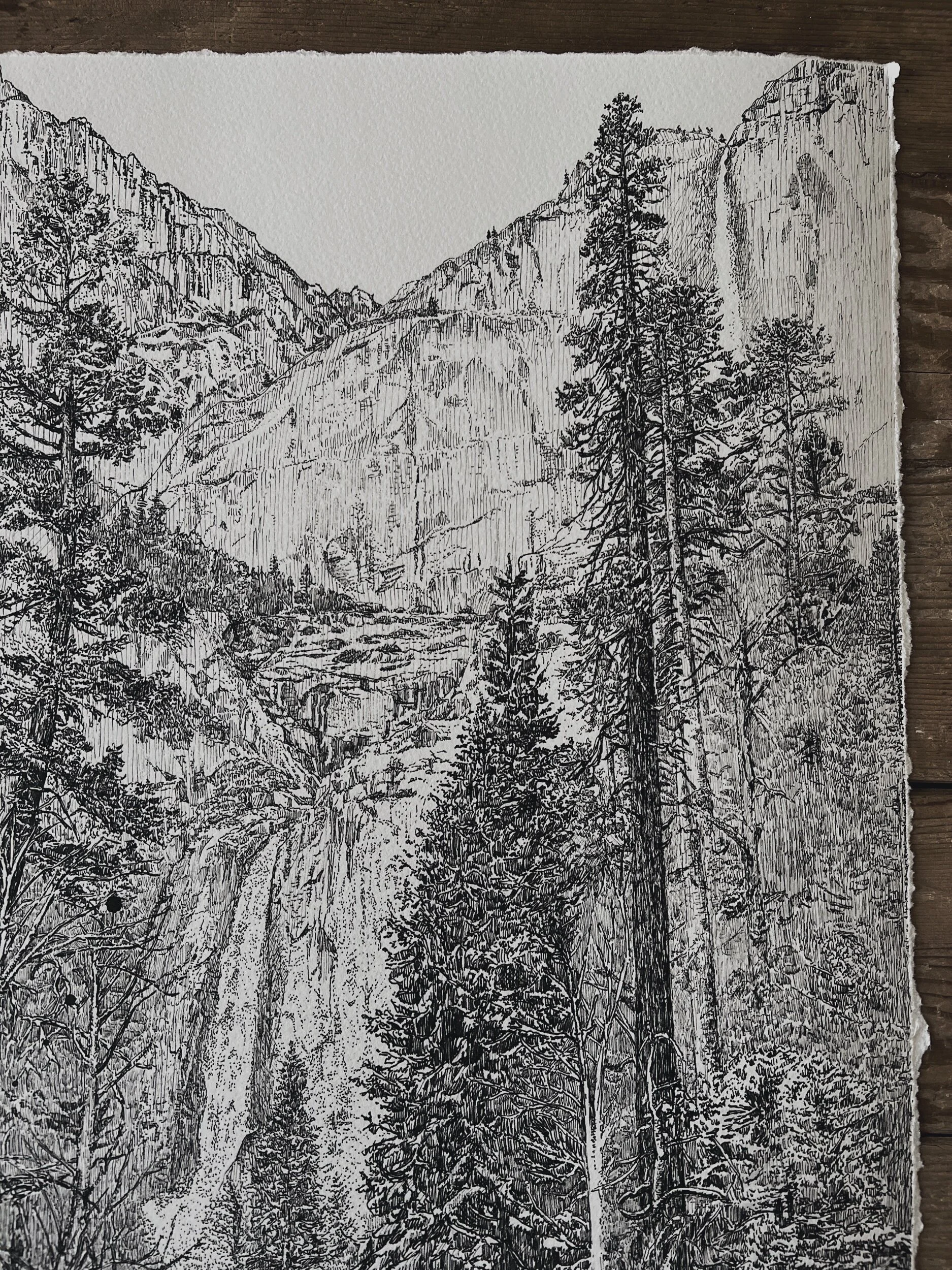 FF09F8B2-BCB0-462B-9B33-7E46AD1A6E2D