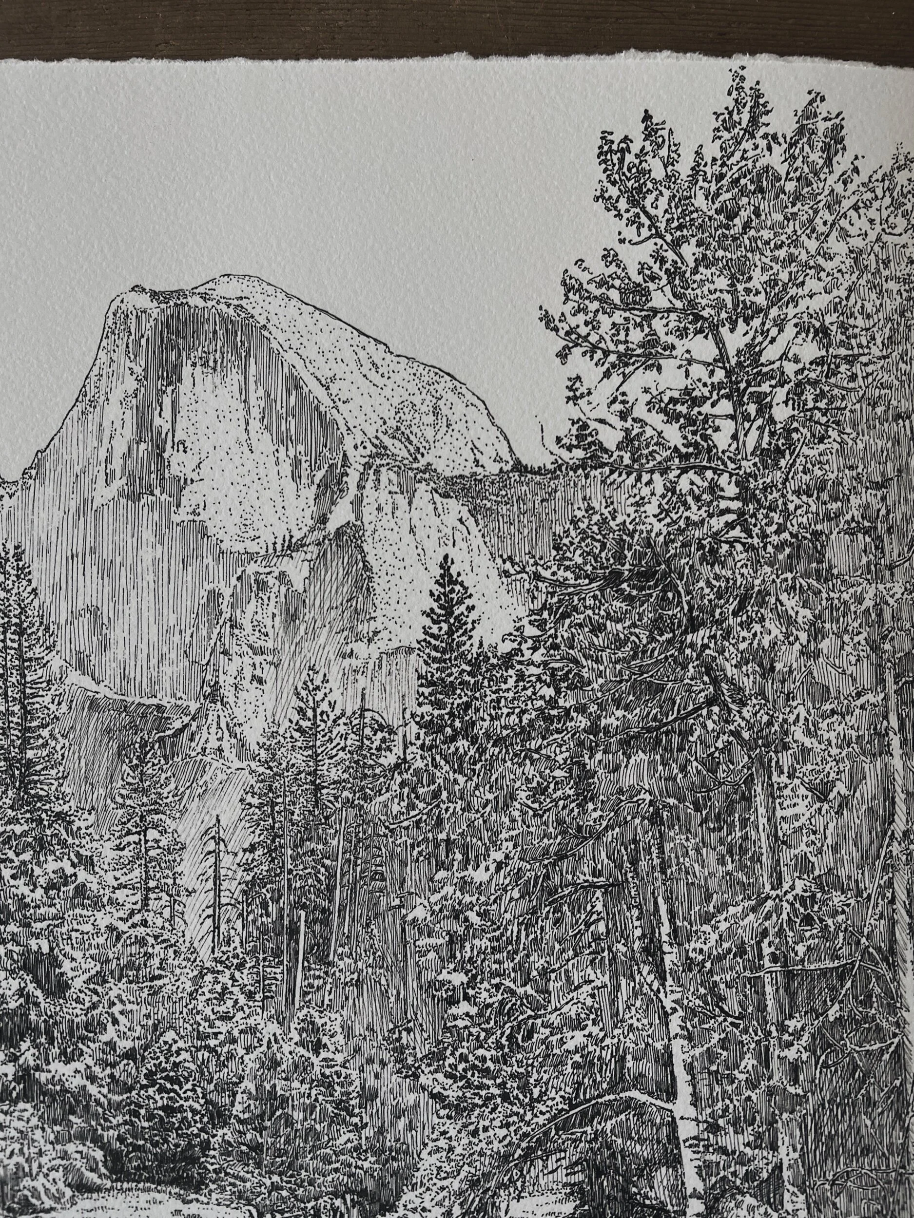 CFF1D778-6AE5-4D64-9165-1CA4E86F2E02