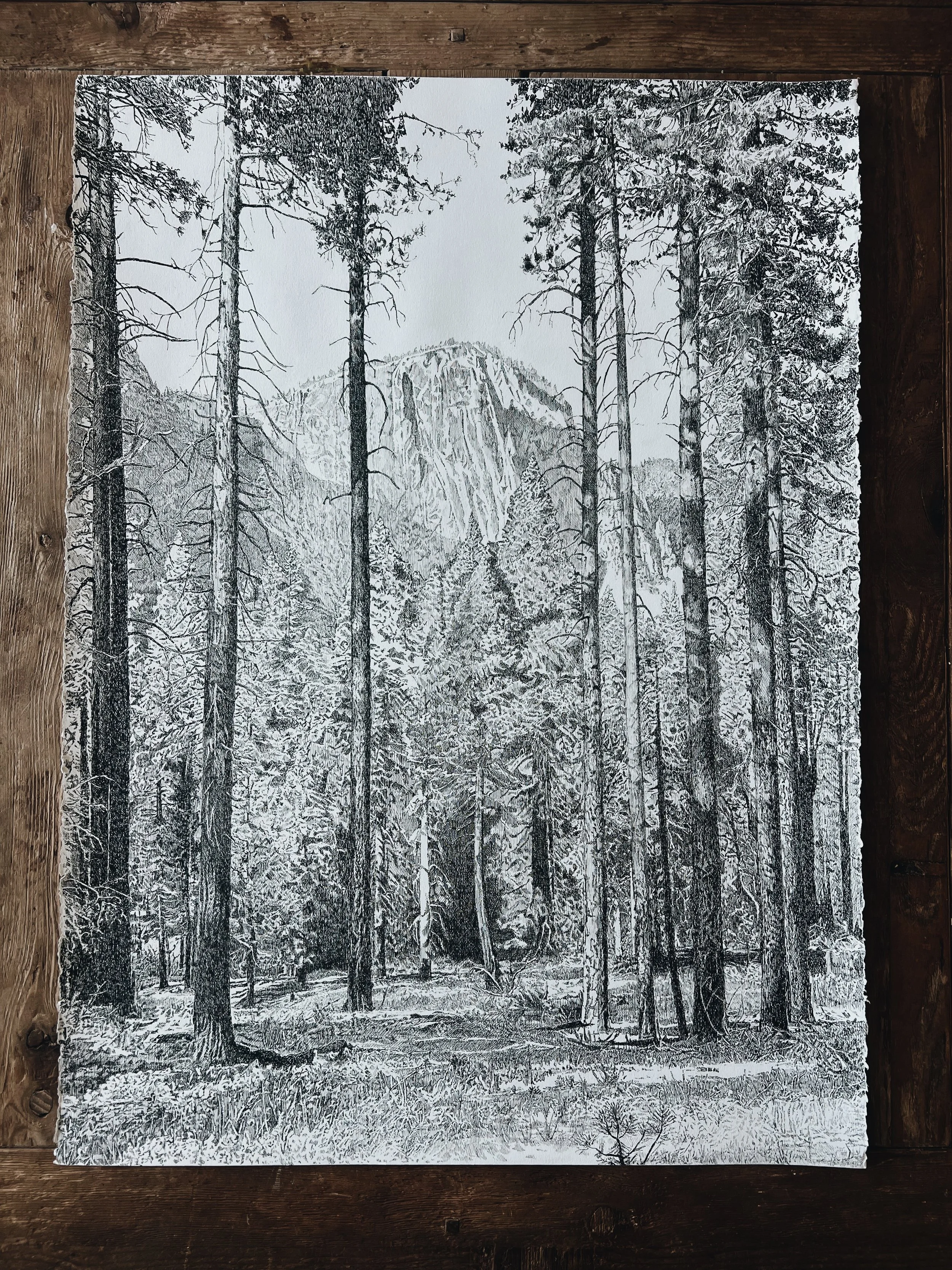 PREORDER - The Veil 22" x 30"