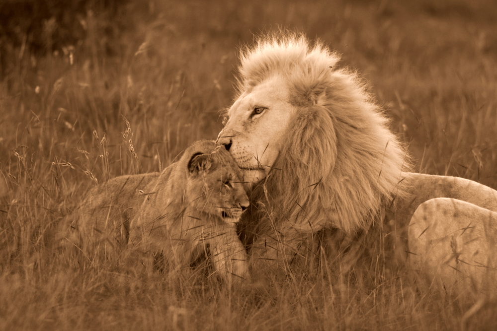 The importance of fathers