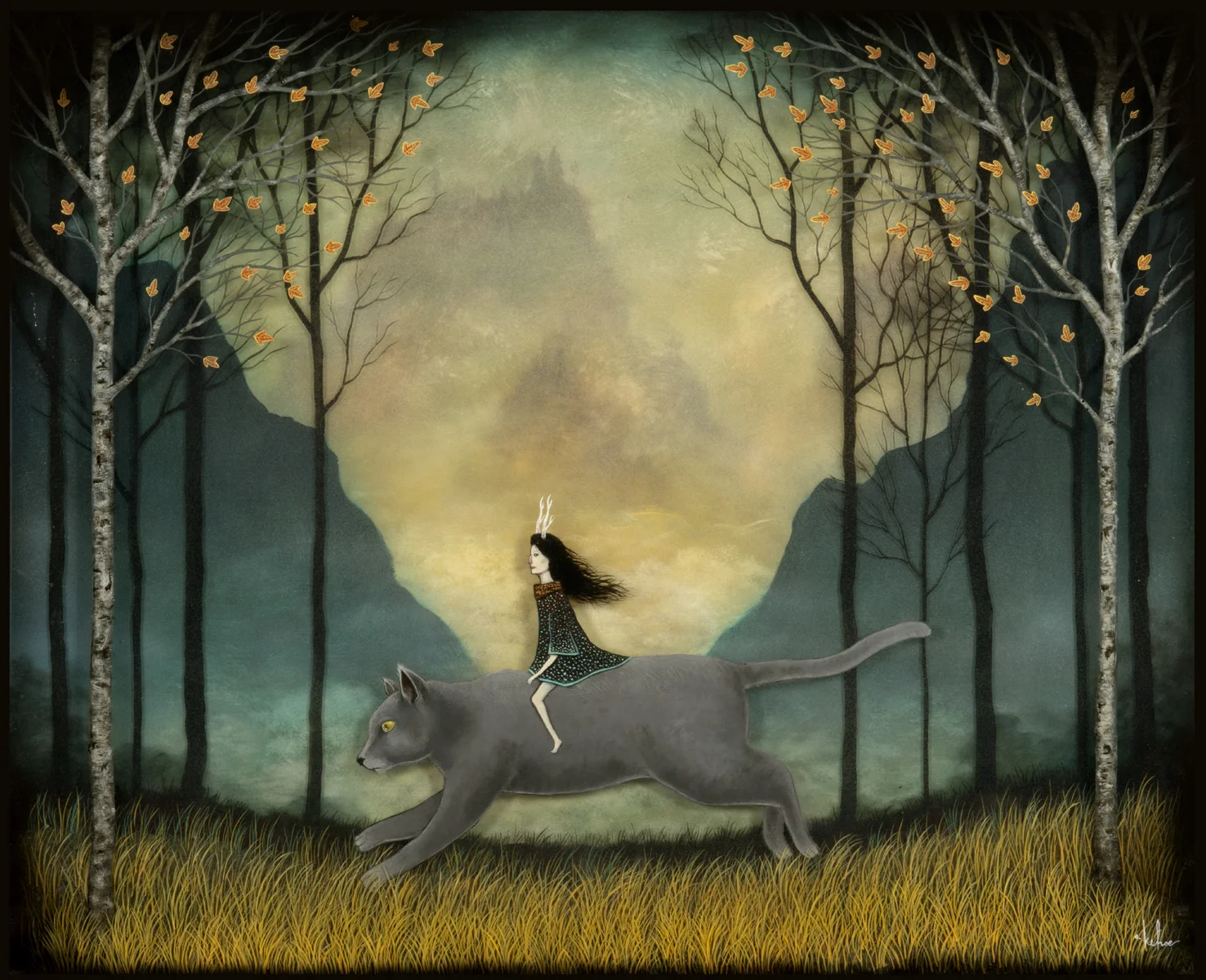 Riding a Dream
