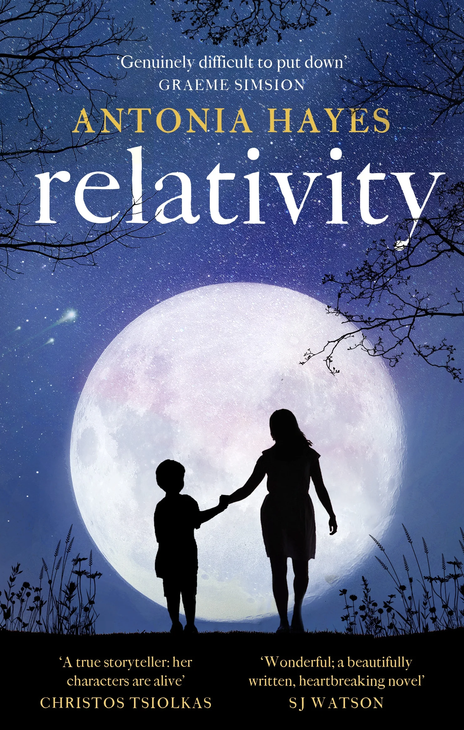Relativity - Antonia Hayes