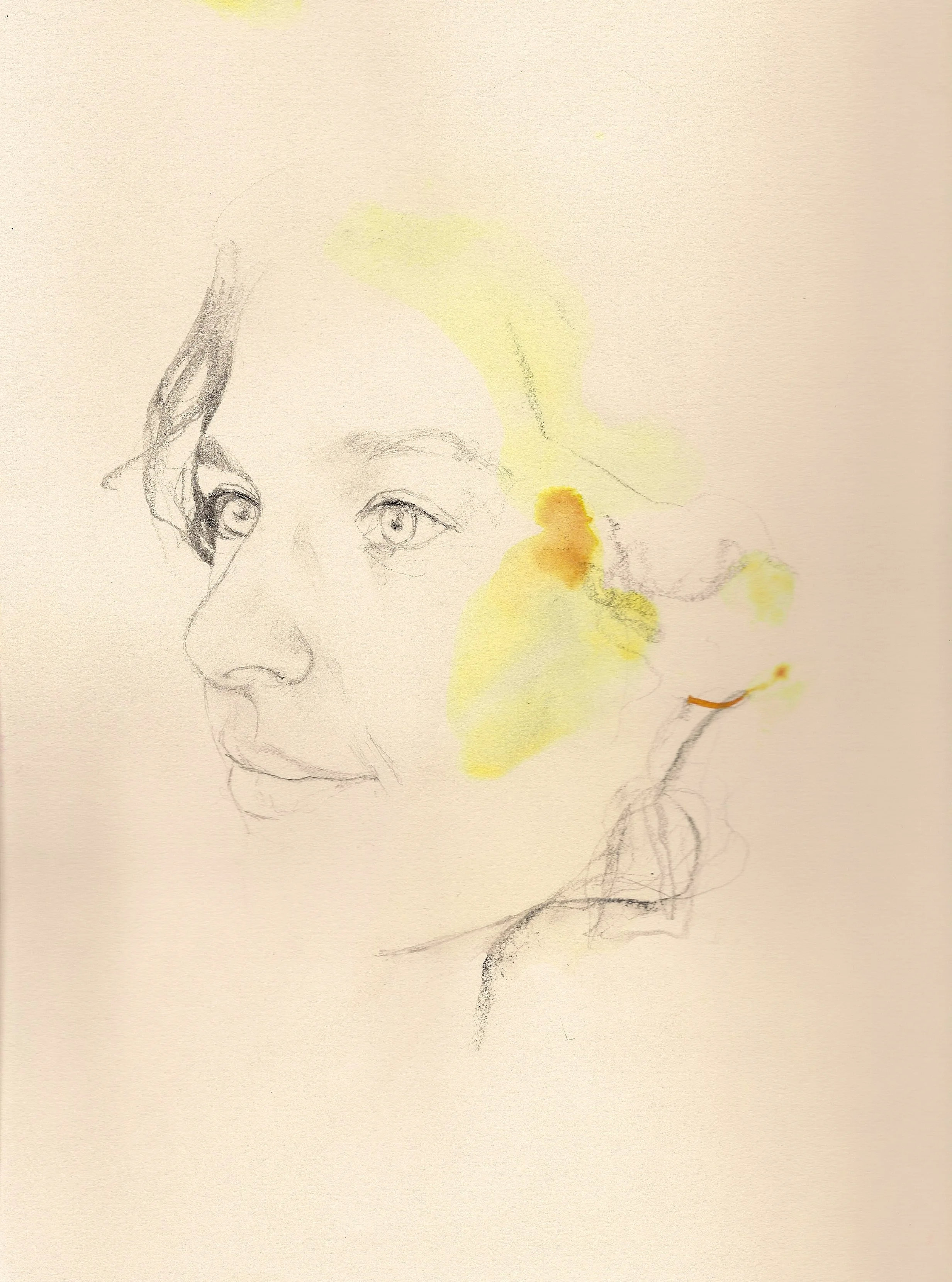 alex portrait.jpeg