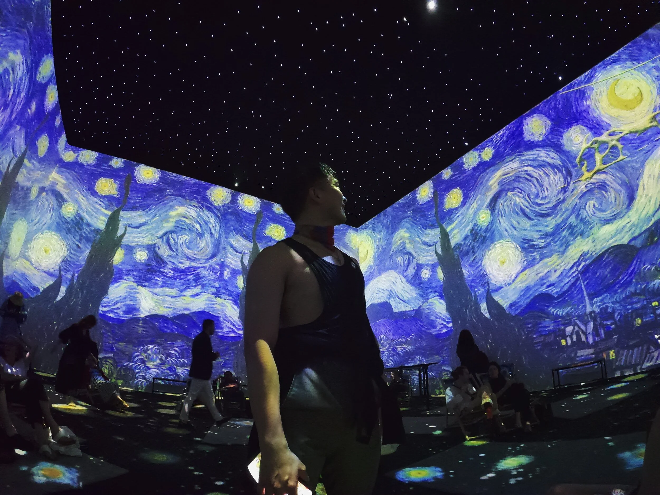 VAN GOGH: THE IMMERSIVE EXPERIENCE