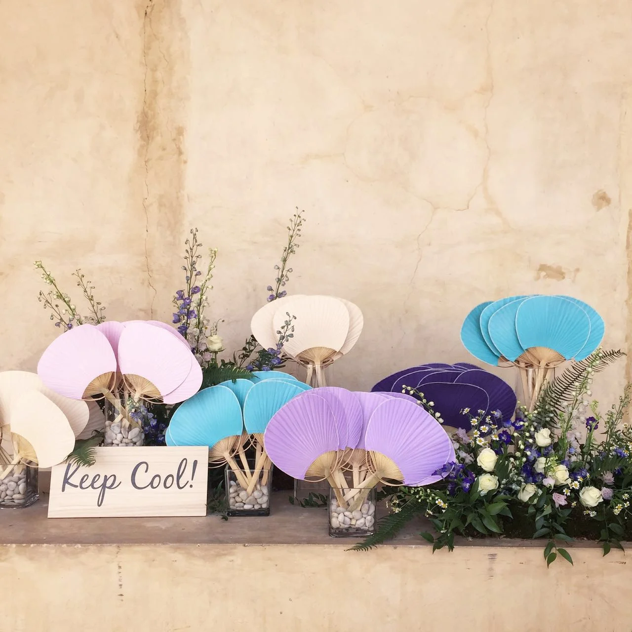 WhatsApp-Image-20160628 (2).jpeg