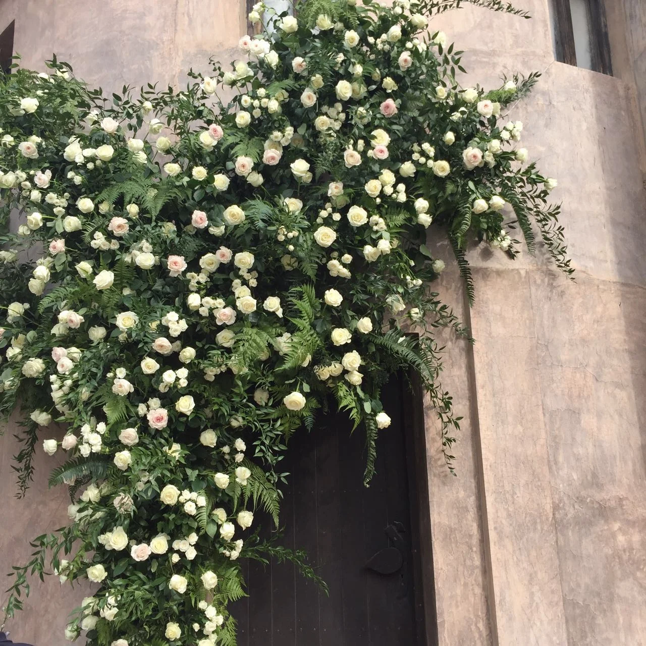 WhatsApp-Image-20160628 (3).jpeg