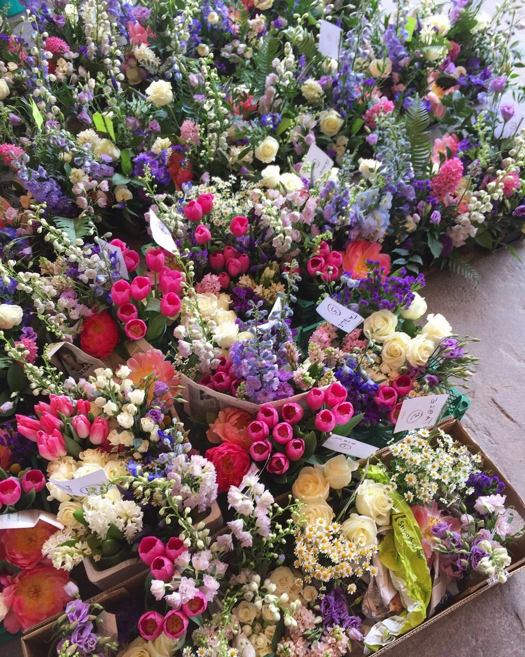 WhatsApp-Image-20160628 (5).jpeg