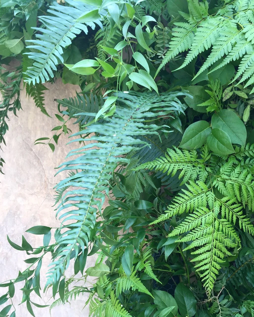 WhatsApp-Image-20160628 (6).jpeg