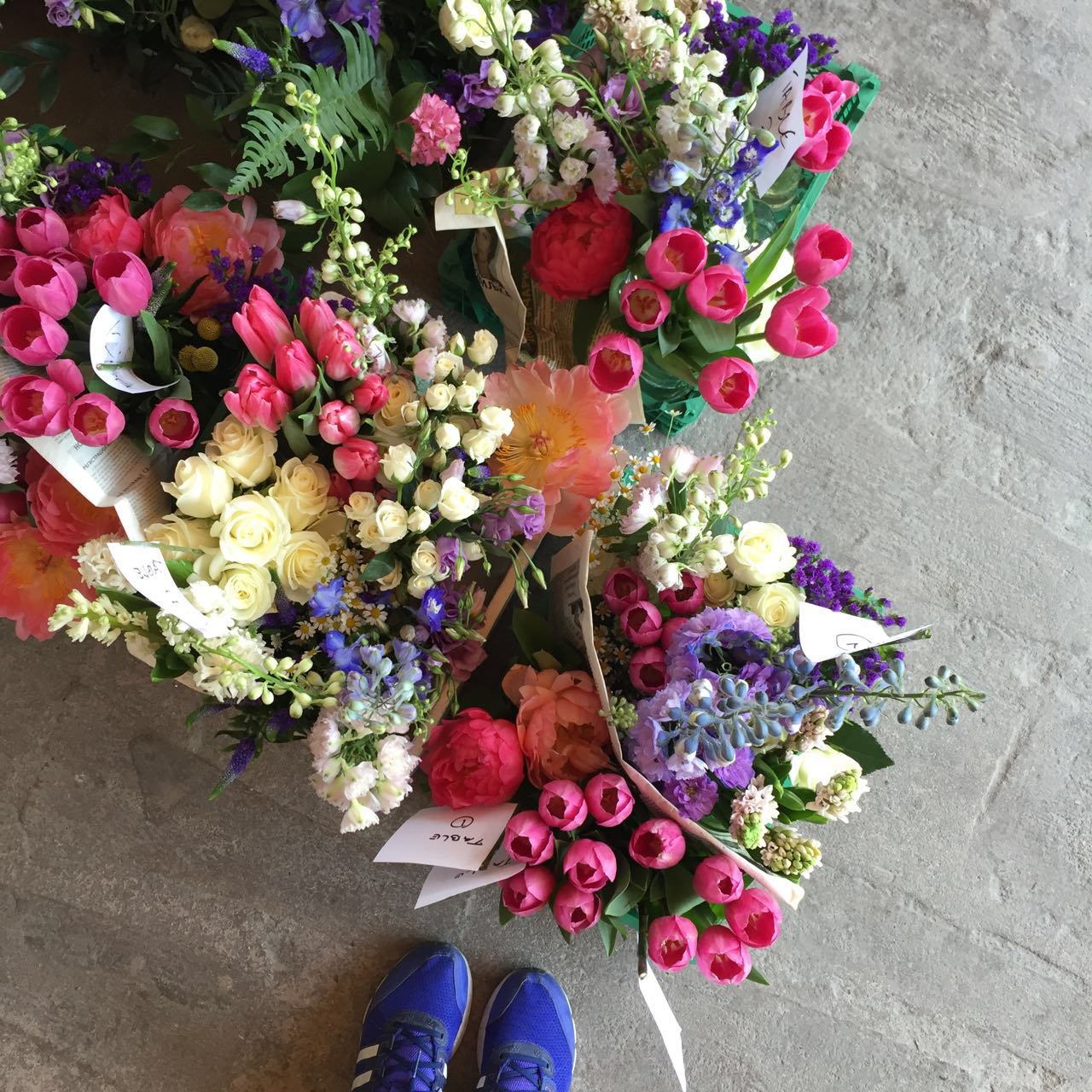 WhatsApp-Image-20160628 (7).jpeg